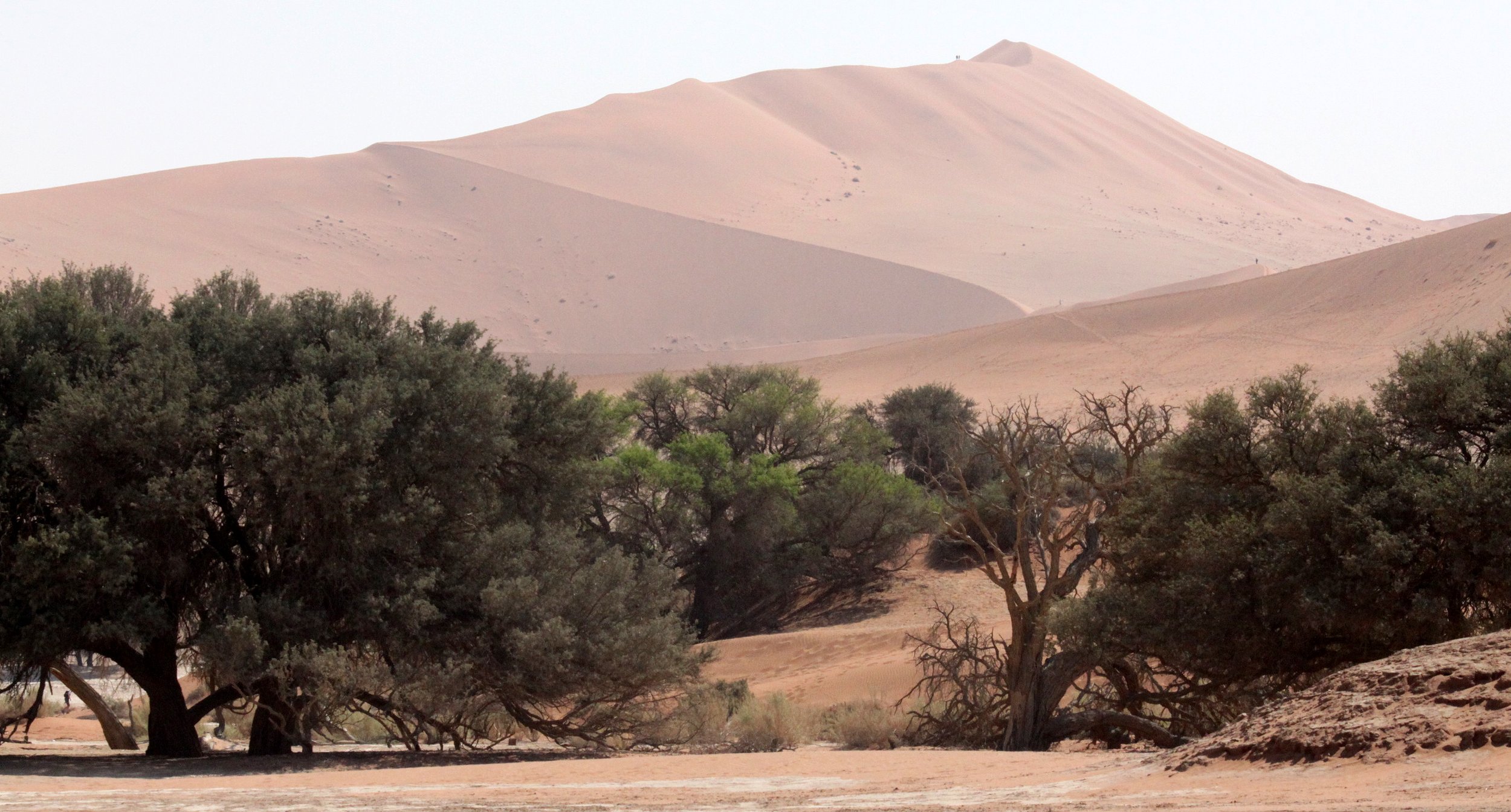 SOSSUSVLEI, NAMIB NAUKLUFT NATIONAL PARK, NAMIBIA - BIG MOMMA (3).JPG