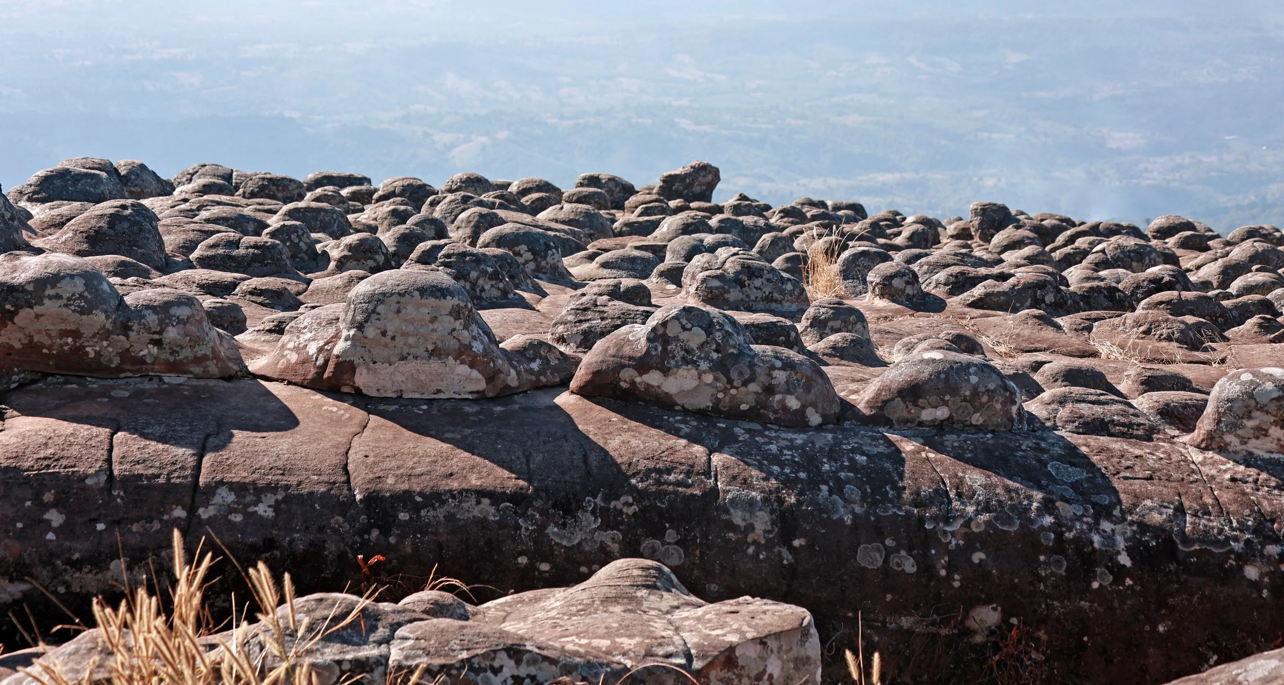 Phu Hin Rong Kla National Park Loei Province (63).jpg