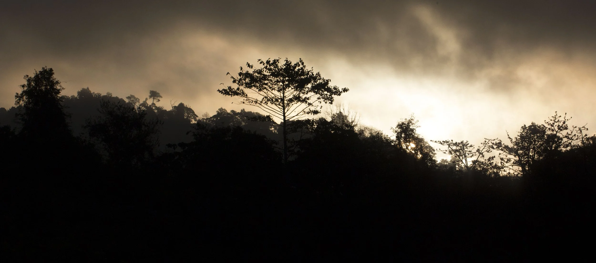 KHAO PANG MA NONHUNTING AREA THAILAND RAW (31).jpg