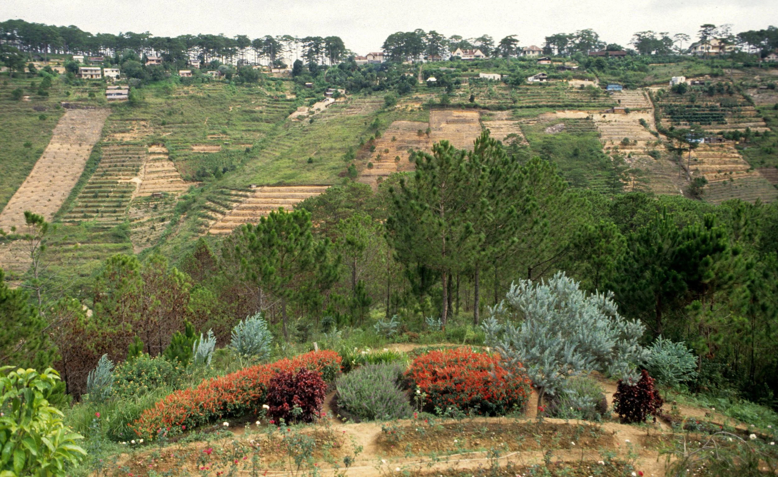 DALAT - VIET NAM 1994 (4).jpg