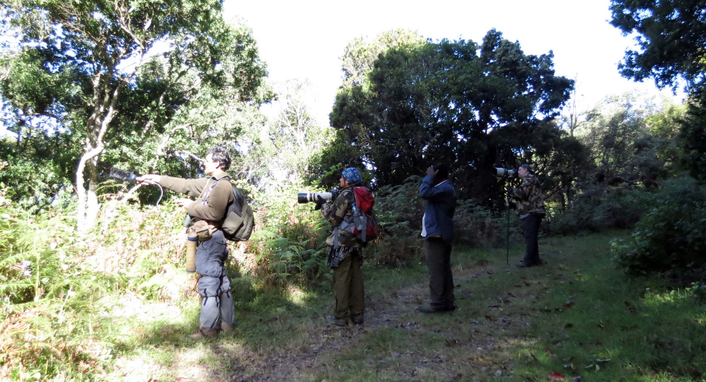 PAMPADUM SHOLA NATIONAL PARK INDIA - VATTAVADA (34).JPG