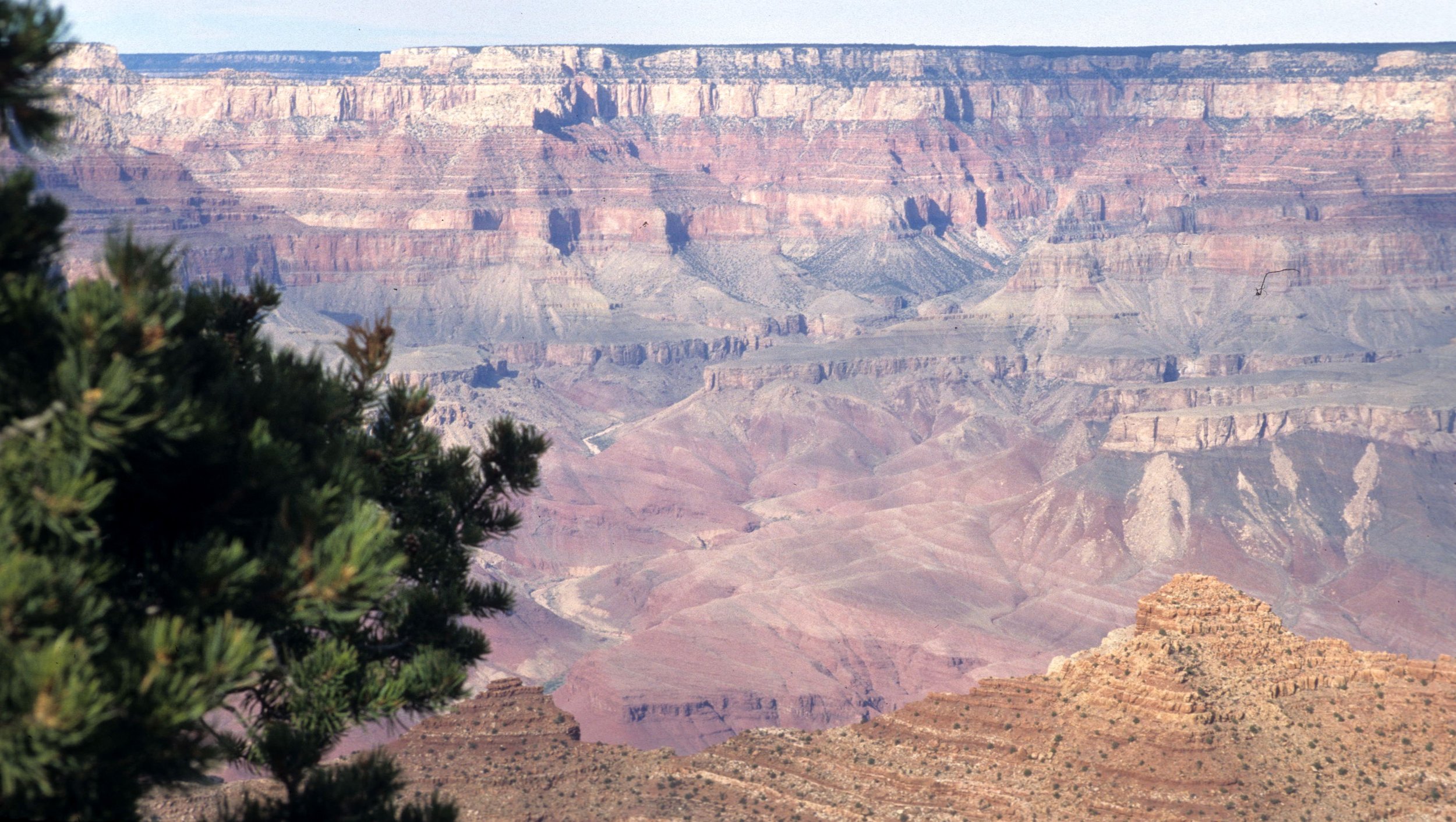ARIZONA - GRAND CANYON NATIONAL PK (21).jpg