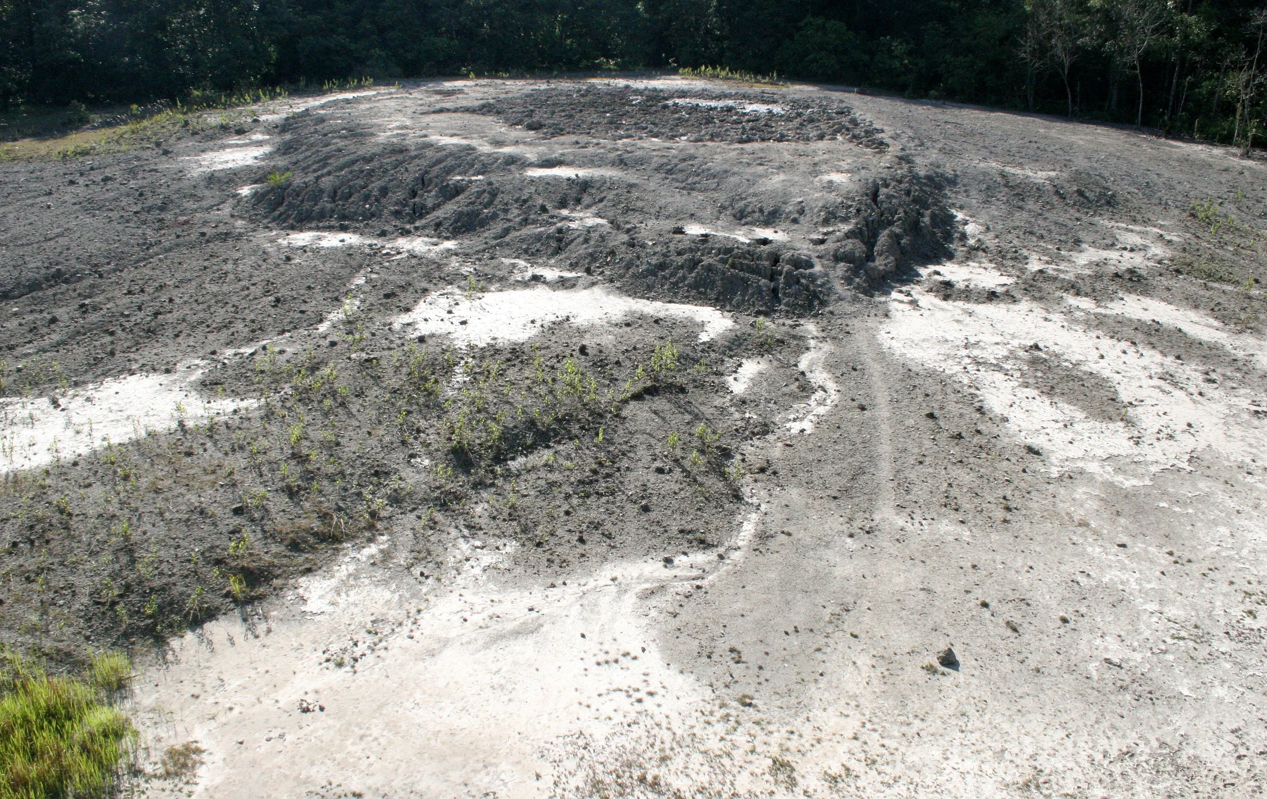 TABIN WILDLIFE RESERVE BORNEO - MUD VOLCANOES (5).JPG