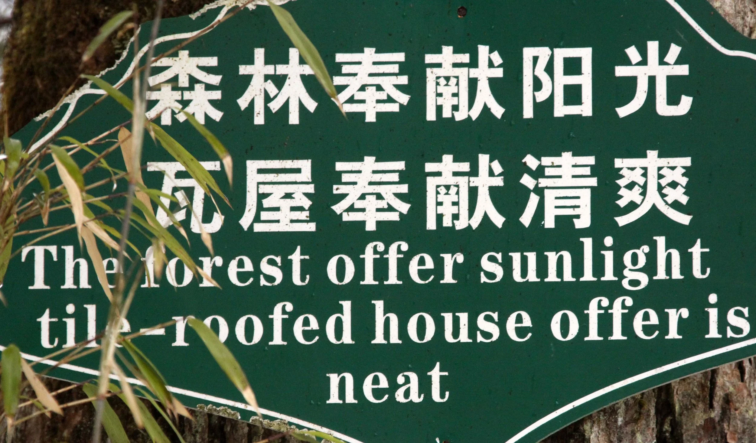 WAWU SHAN GEOPARK - SICHUAN CHINA (27).JPG