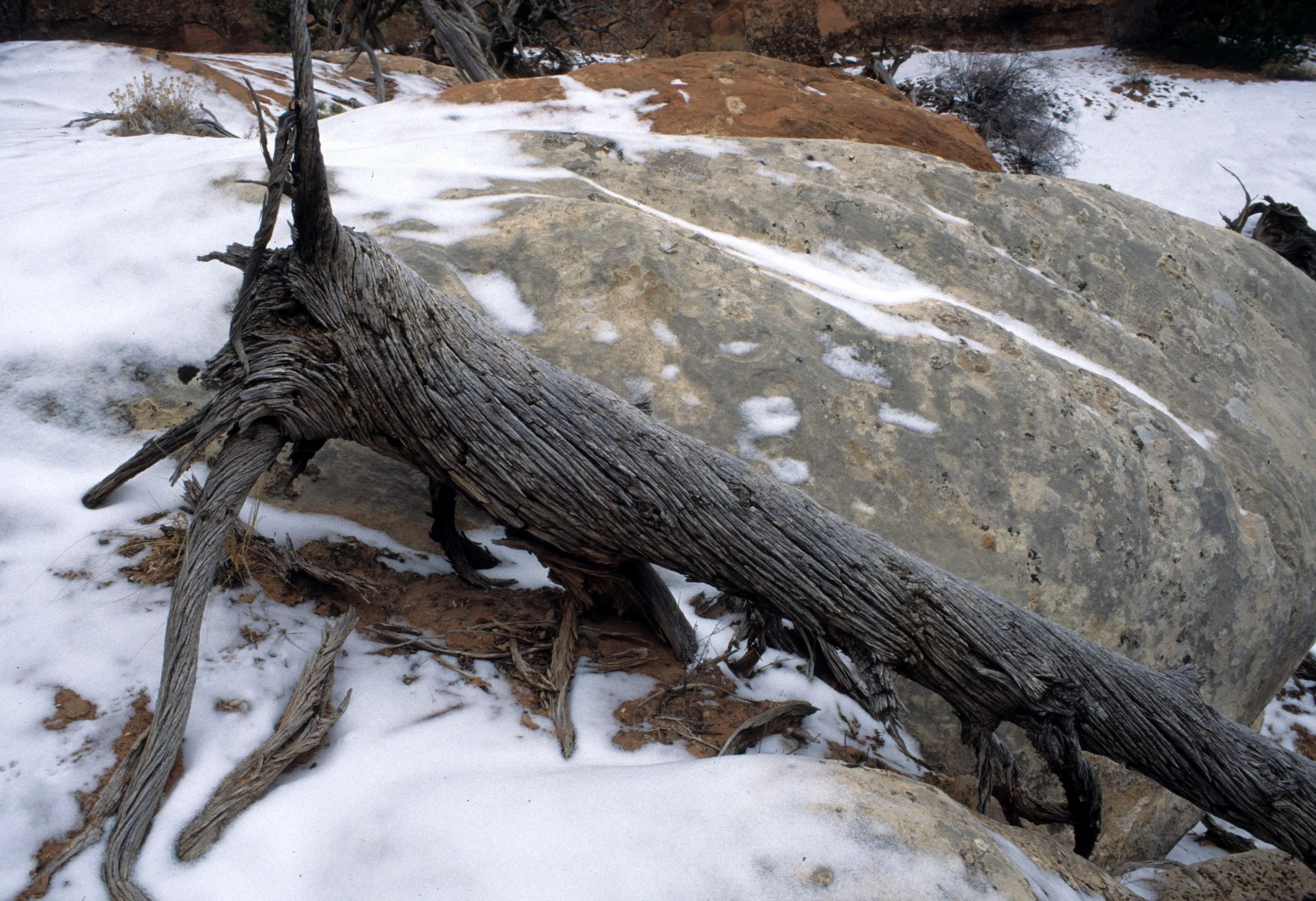 UTAH - ARCHES NP D (2).jpg