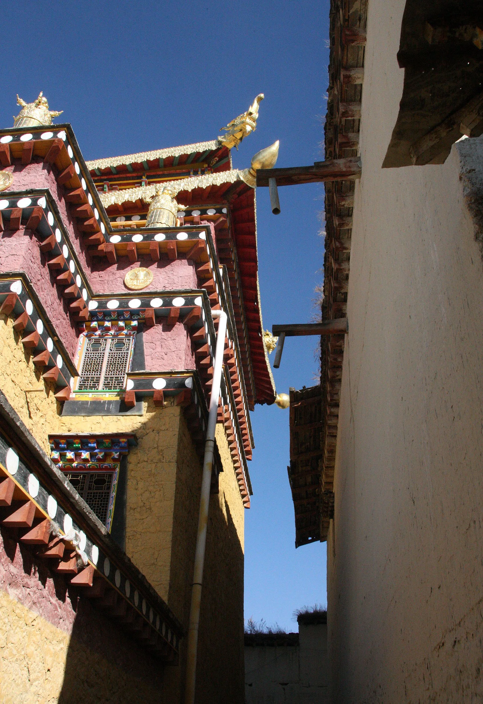 YUNNAN - SHANGRI LA - SONGZANLIN TEMPLE (41).JPG