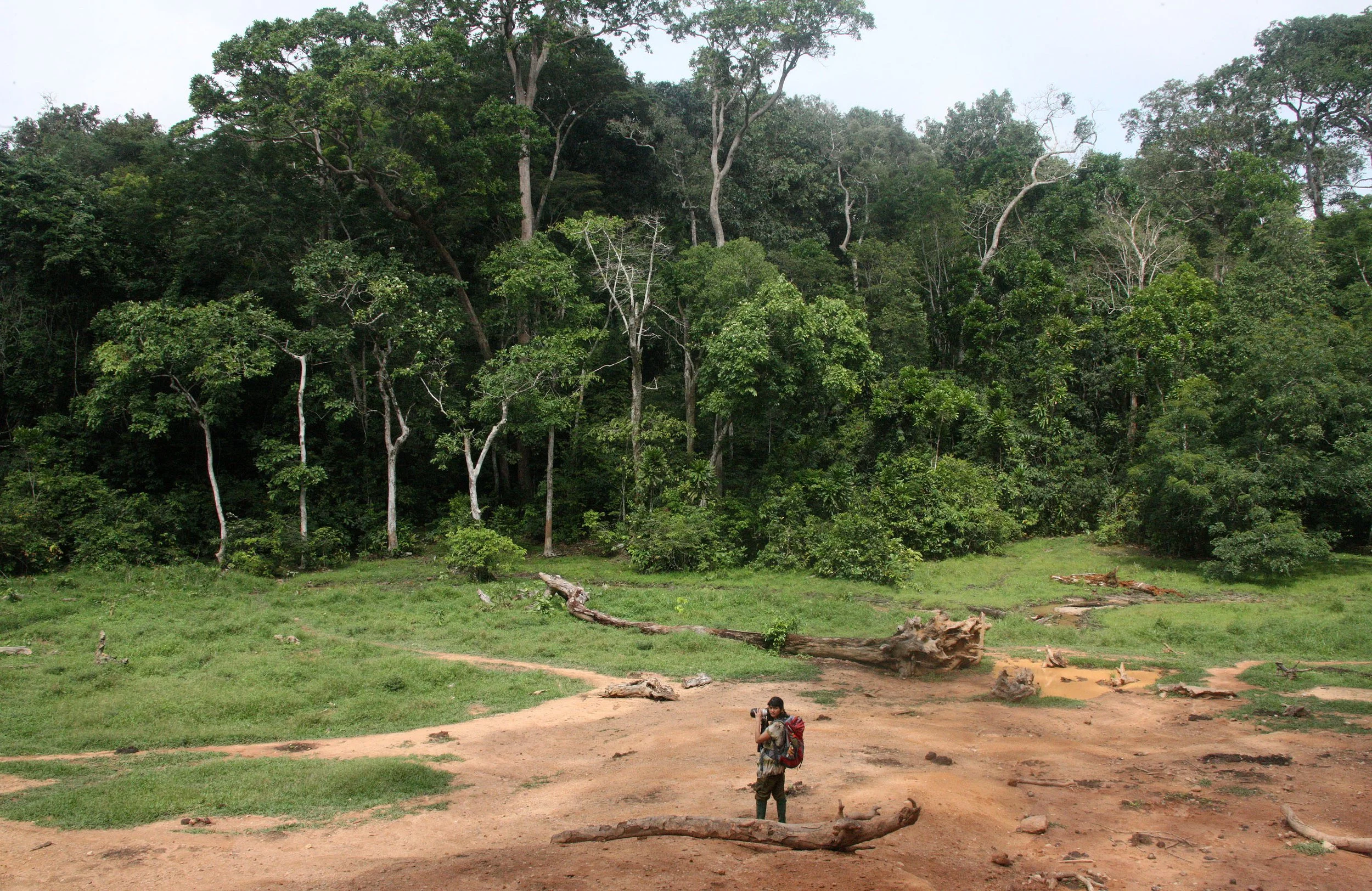 DZANGA NDOKI NATIONAL PARK CENTRAL AFRICAN REPUBLIC (40).JPG