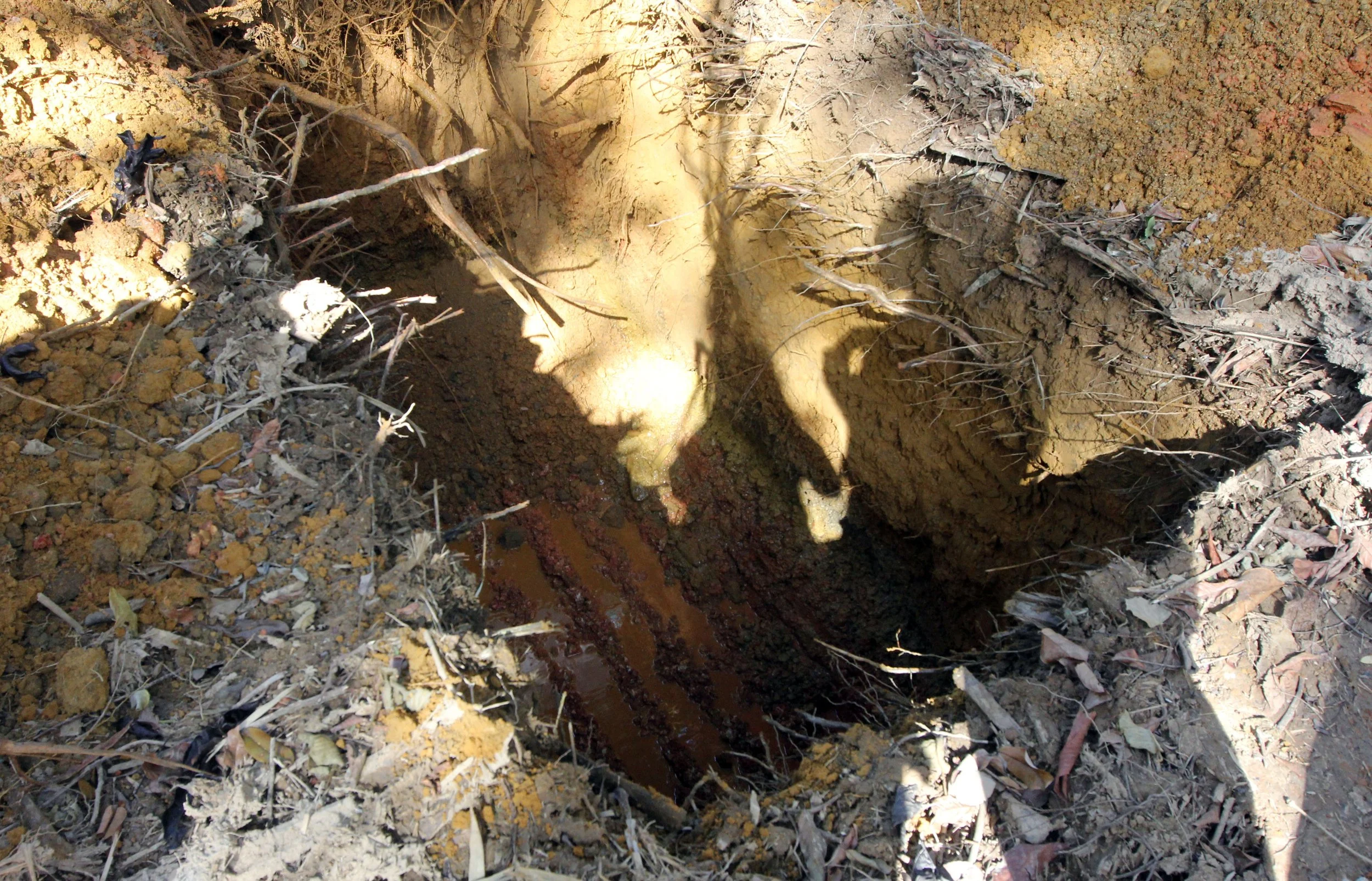 2014 Koh Lanta Build (159).JPG