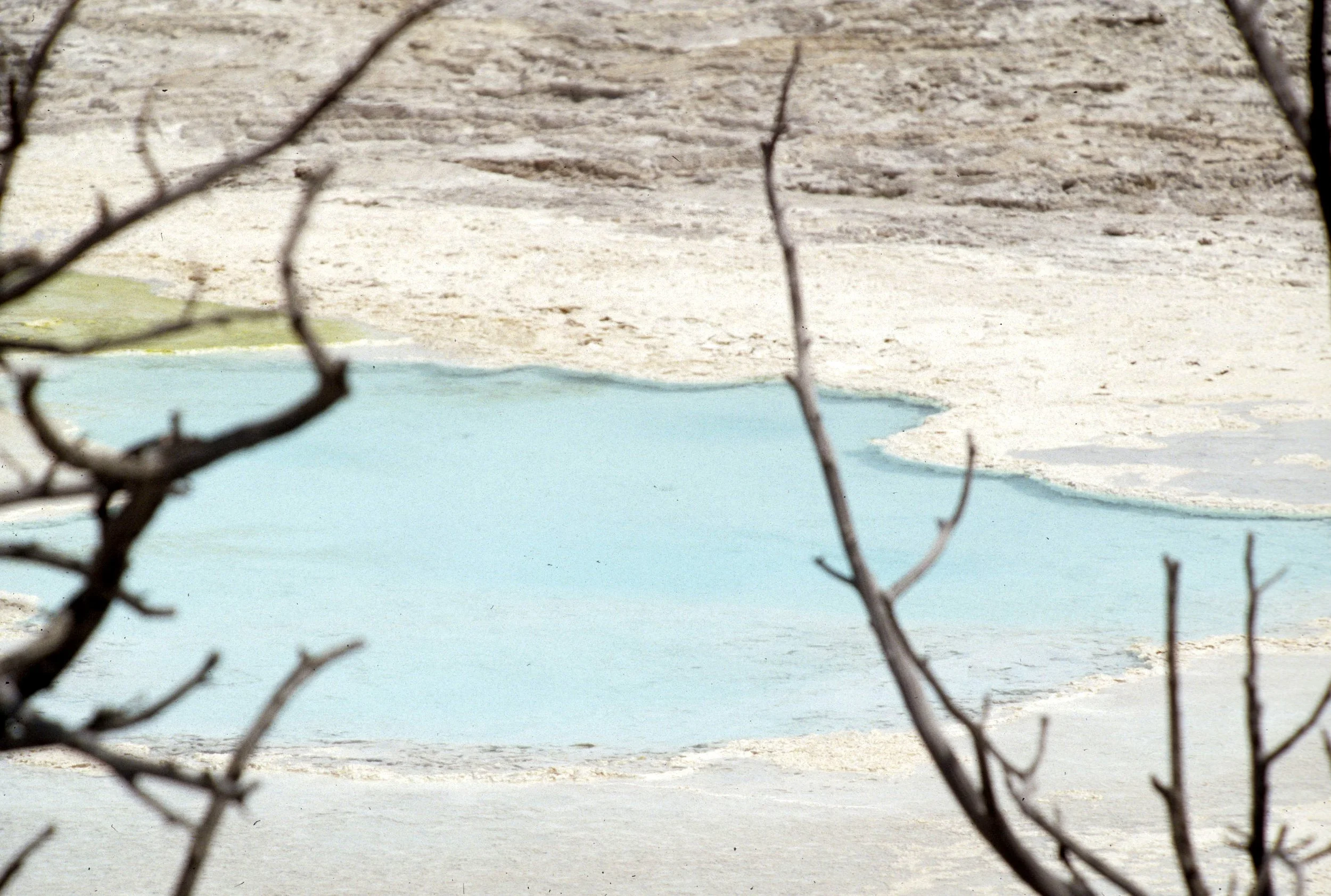 YELLOWSTONE - MAMMOTH HOTSPRINGS H.jpg