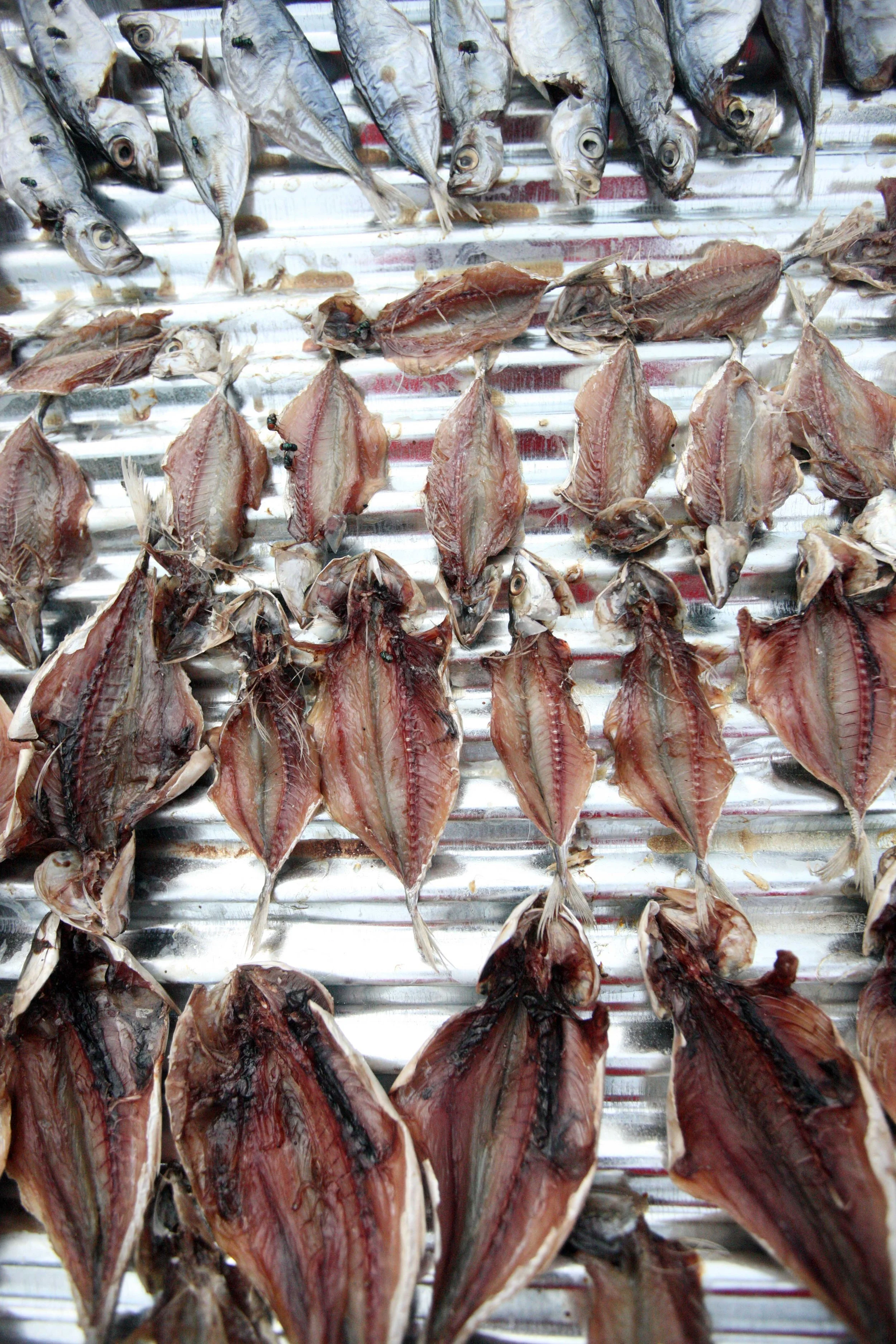 2015 Koh Lanta Songkran with friends from ISB (283).JPG