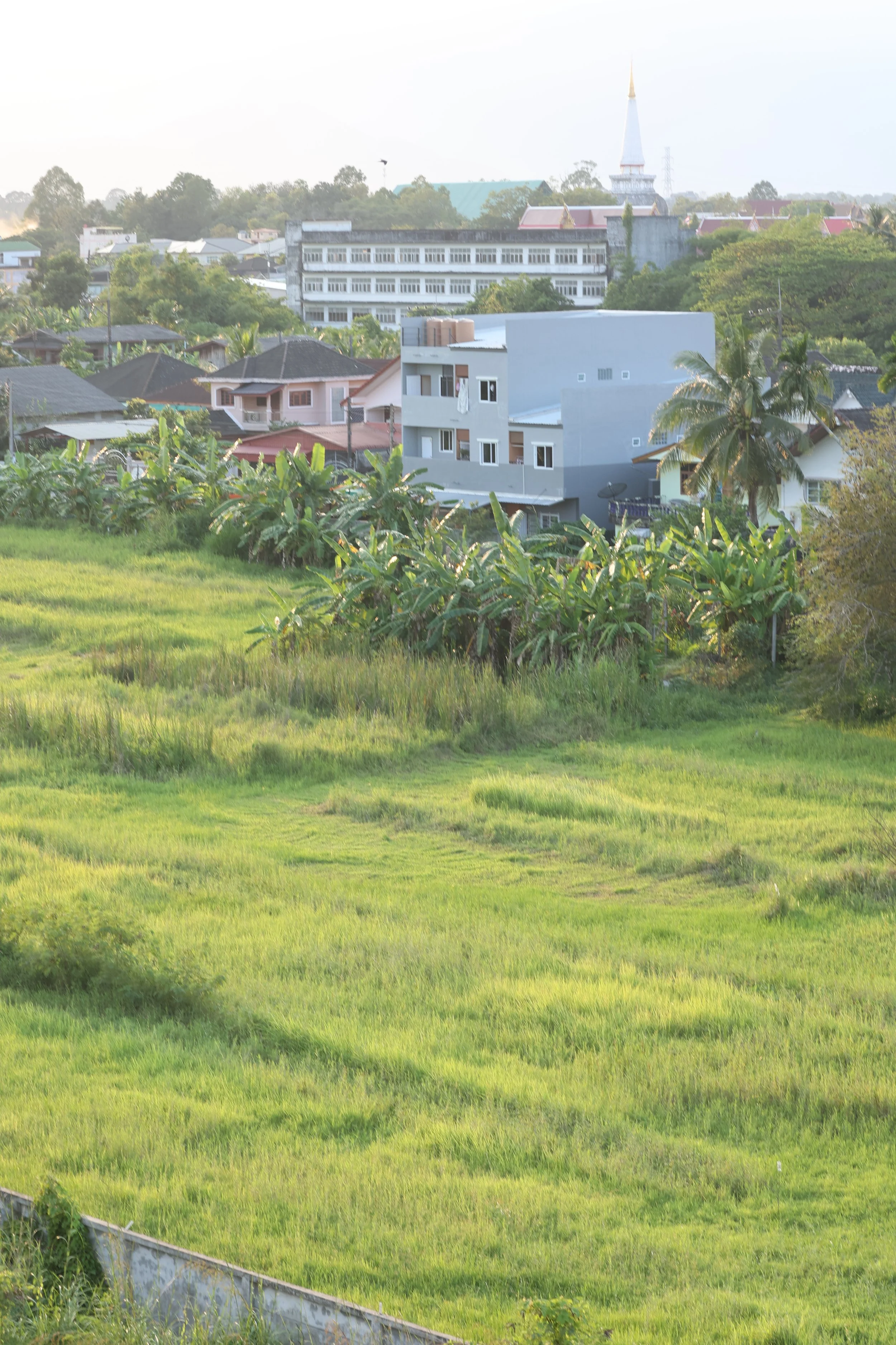 2022 Nakhonsithammarat with Cokie (6).JPG