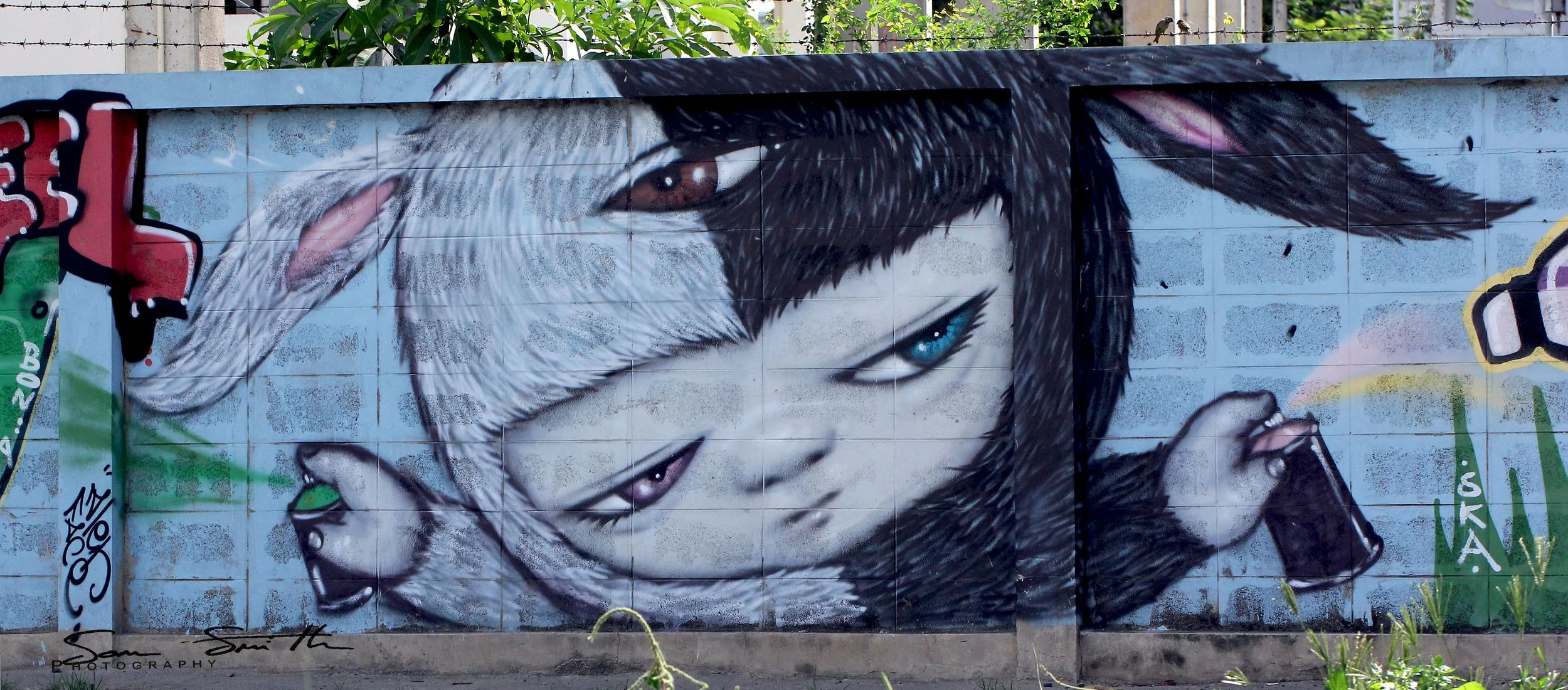 2017 Graffiti Tour in Bangkok (542).JPG