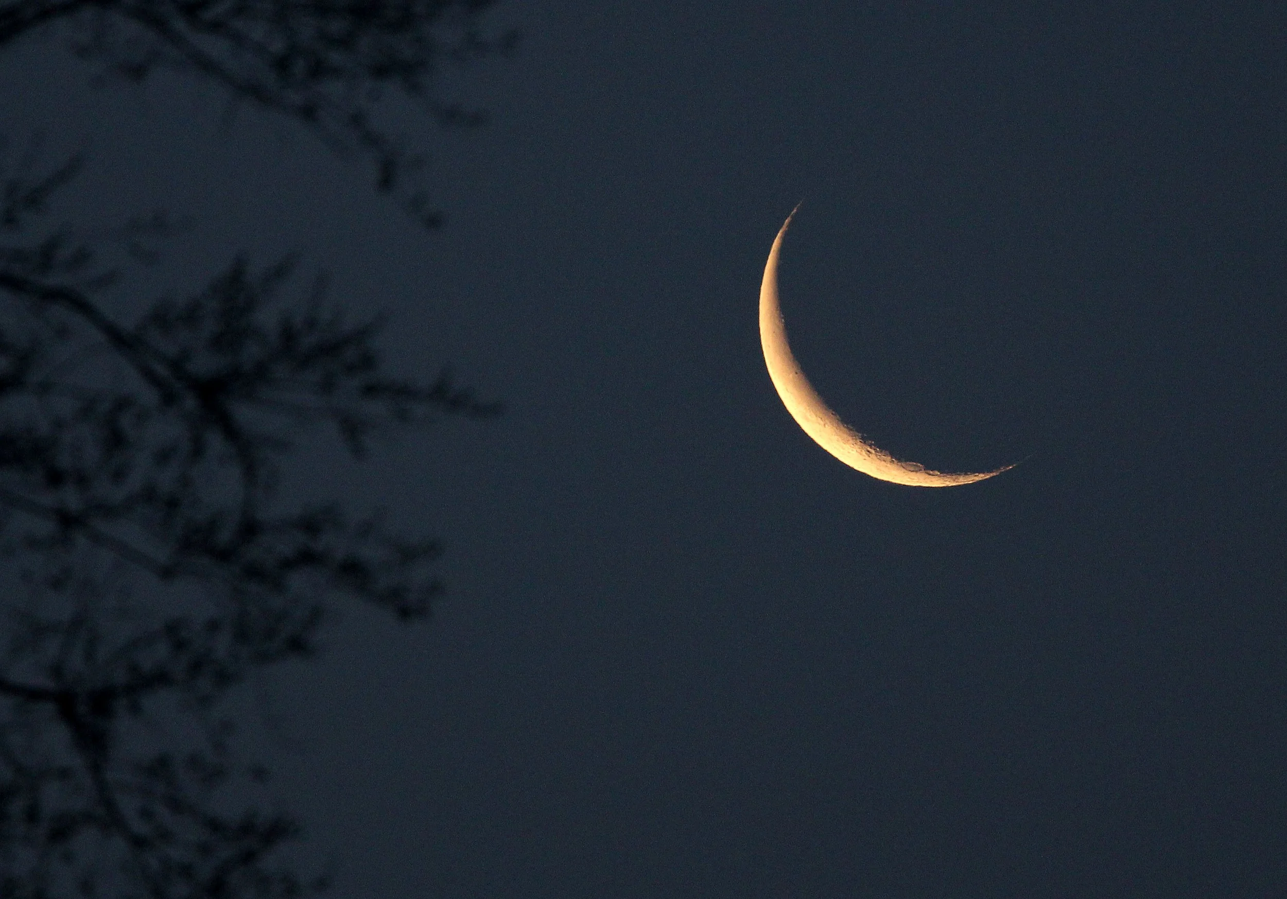TANGJIAHE NATURE RESERVE, SICHUAN CHINA (1).JPG