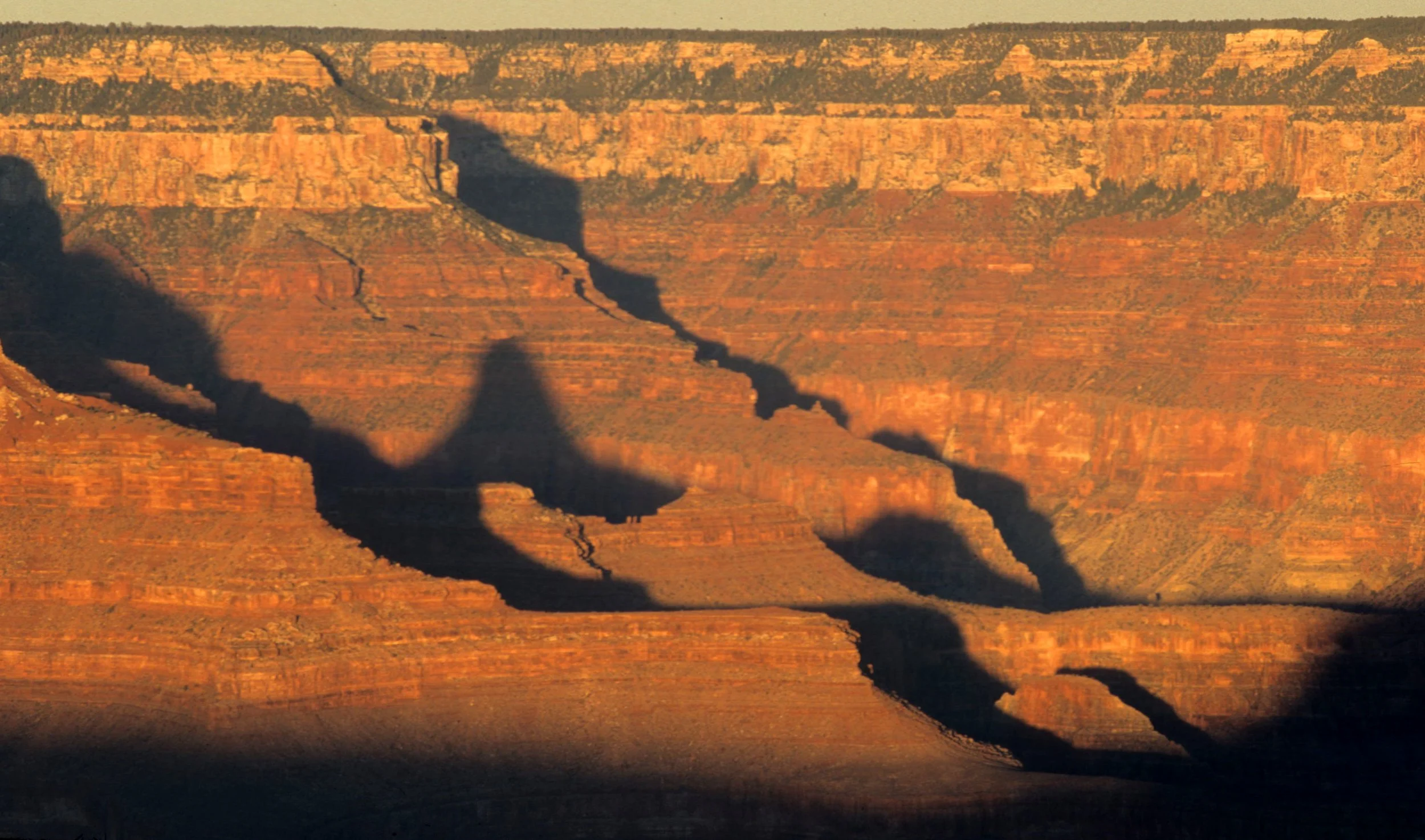 ARIZONA - GRAND CANYON NATIONAL PK (41).jpg