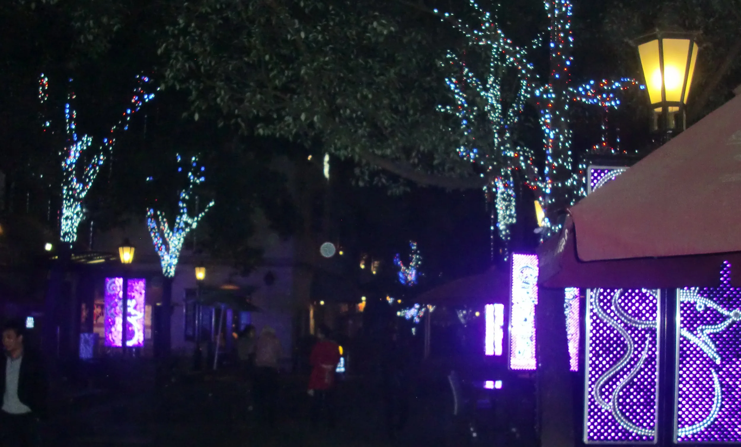 SOM'S BIRTHDAY 2011 - SAS WINTER BALL! (78).JPG