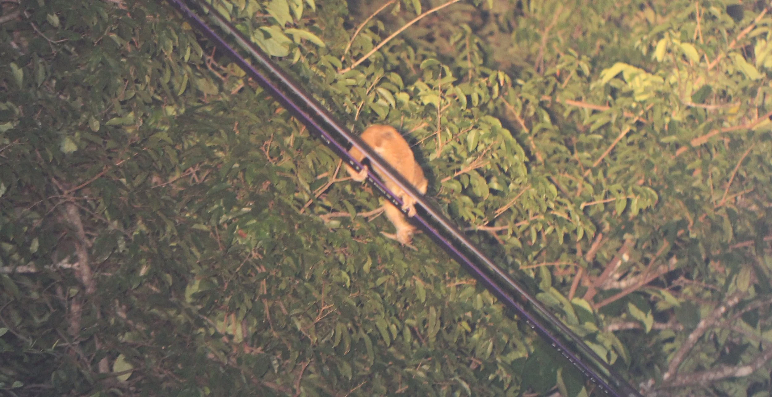 2015 Koh Lanta October Break Trip  (136).JPG