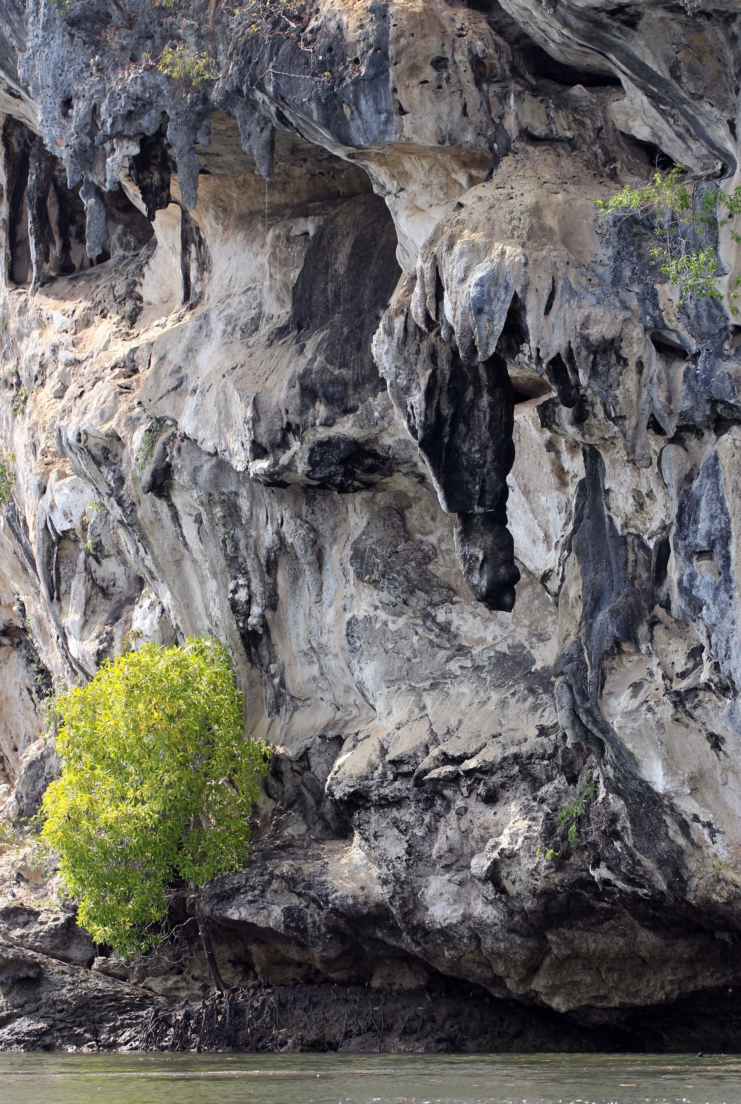 2014 ISB Trip to Khao Sok National Park Karos Island Ao Luek (18).JPG
