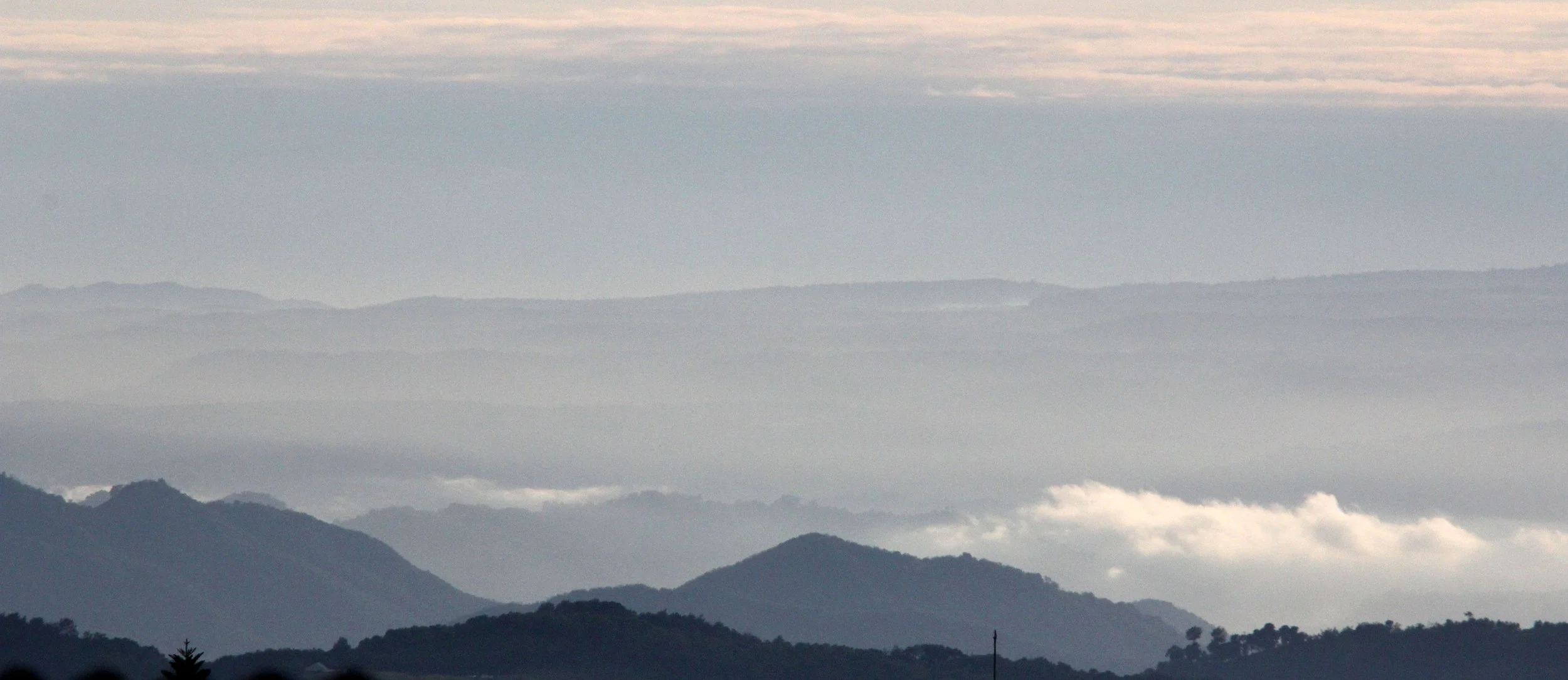 BOGOR - GEDE NATIONAL PARK - JAVA BARA, INDONESIA (11).JPG