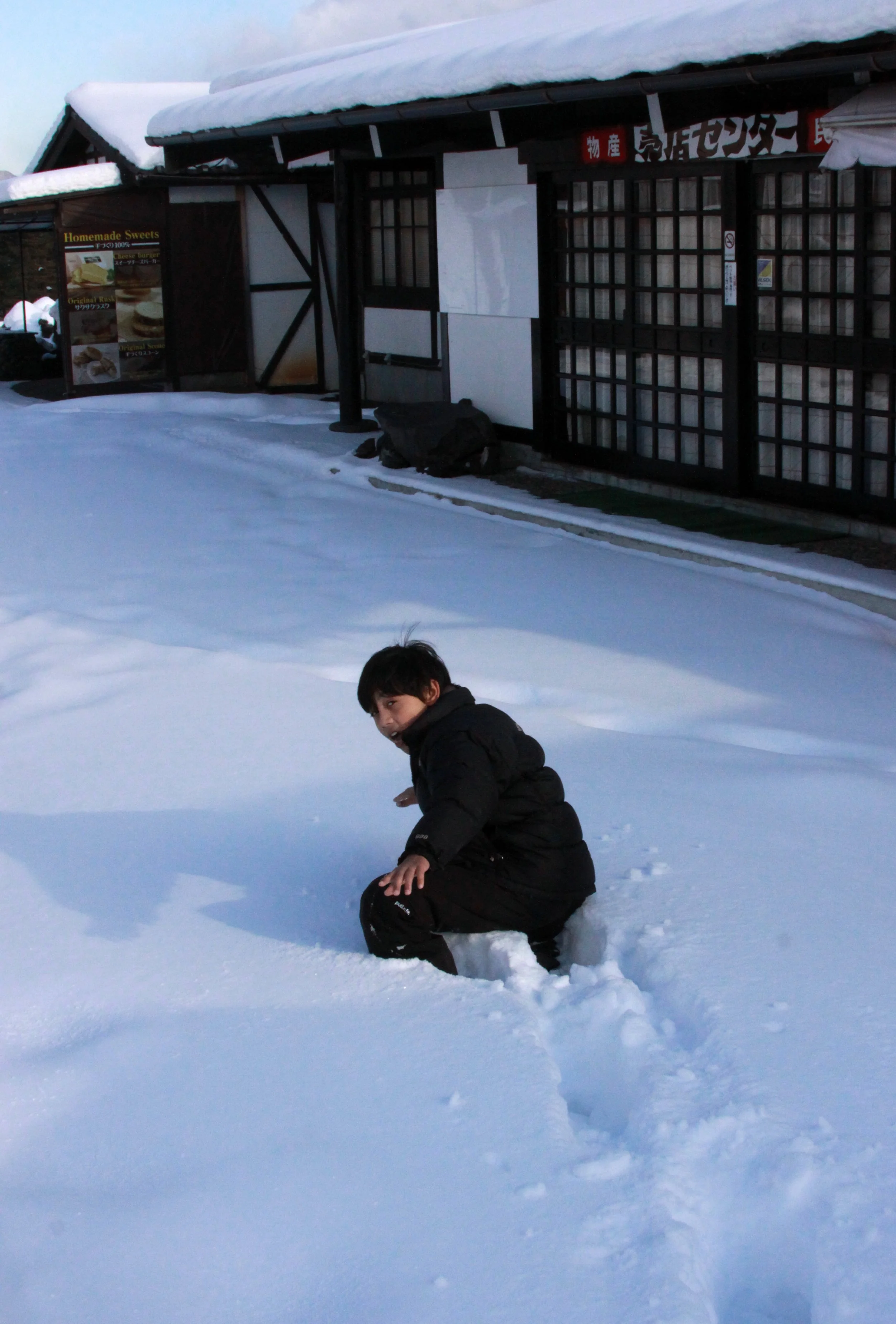 MOUNT ASAMA - JOSHIN'ETSUKOGEN NATIONAL PARK JAPAN (119).JPG