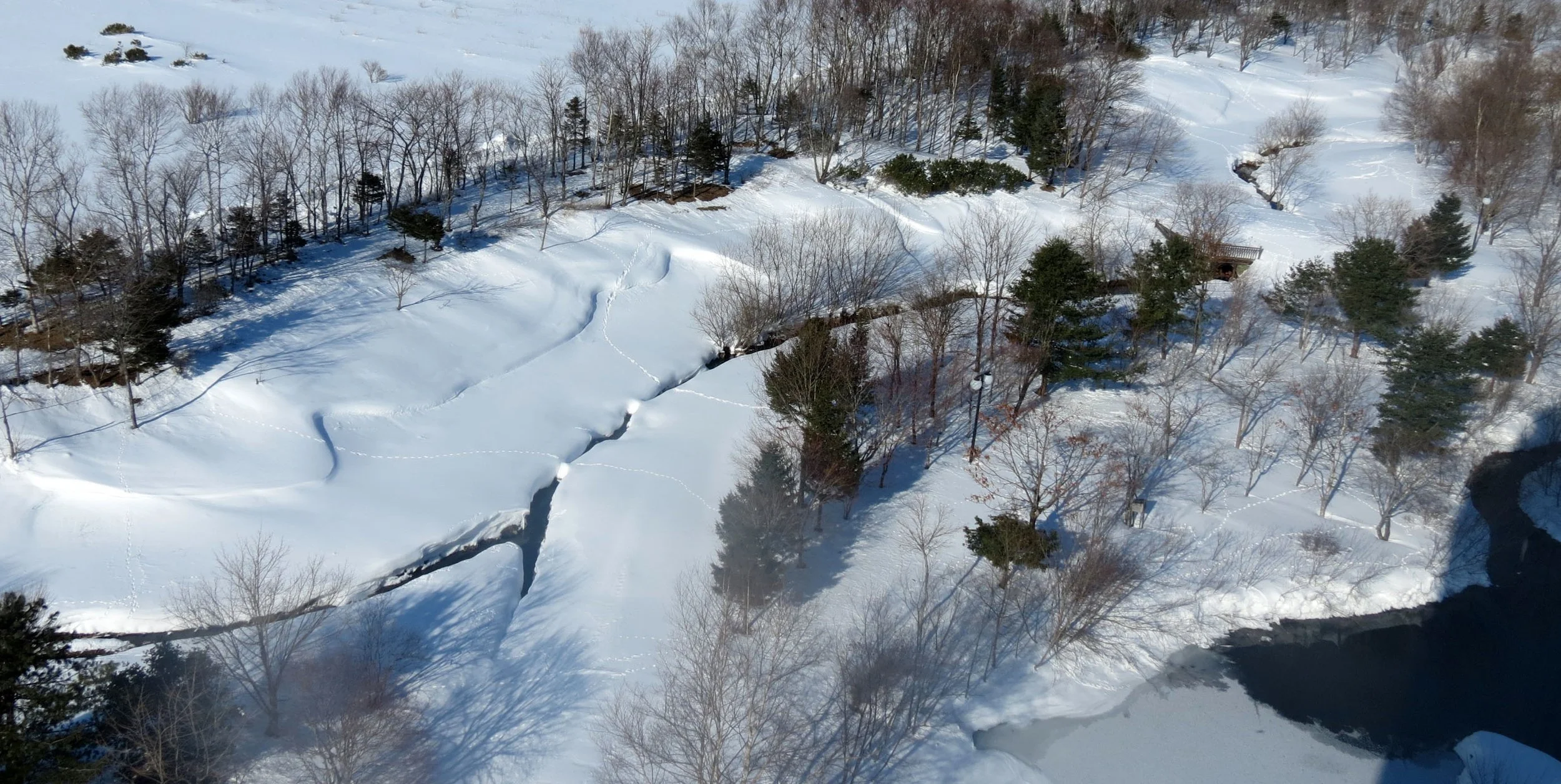 SHIBETSU SALMON MUSEUM - HOKKAIDO JAPAN (13).JPG