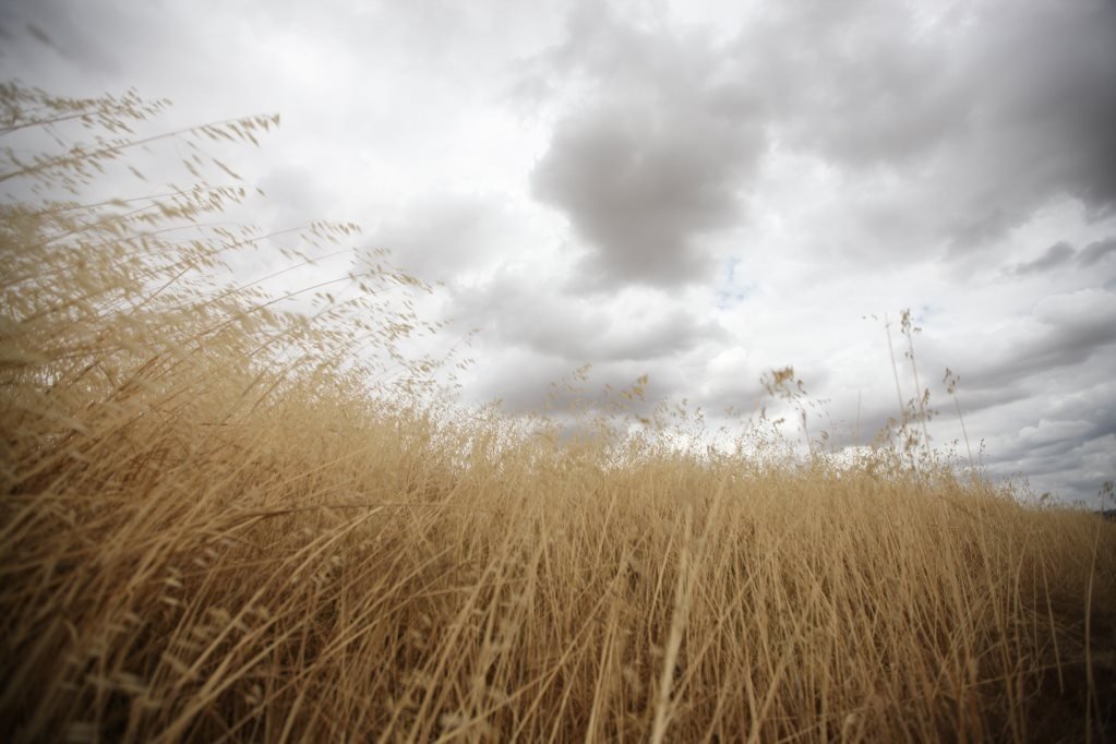 2013 Bangkok Early Days (82).JPG