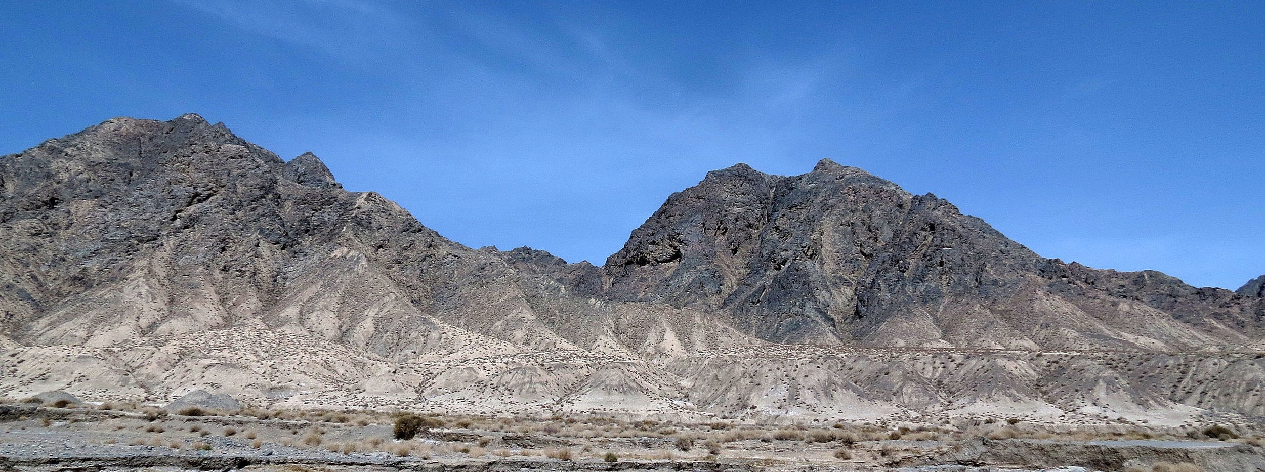 LOP NUR WILD BACTRIAN CAMEL RESERVE - XINJIANG CHINA (3).JPG