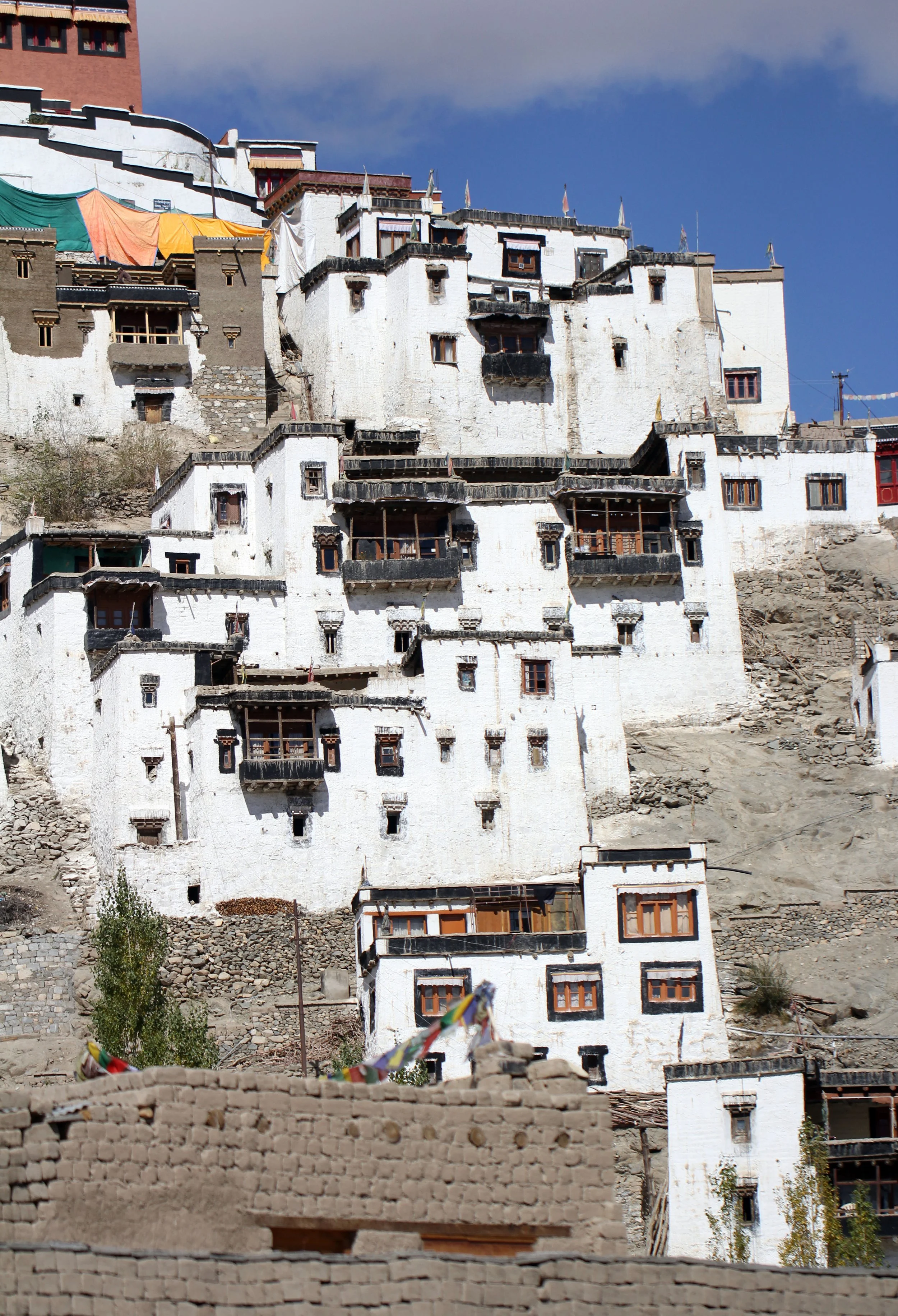 LEH - THIKSEY - LADAKH INDIA - SNOW LEOPARD EXPEDITION 2014 (11).JPG