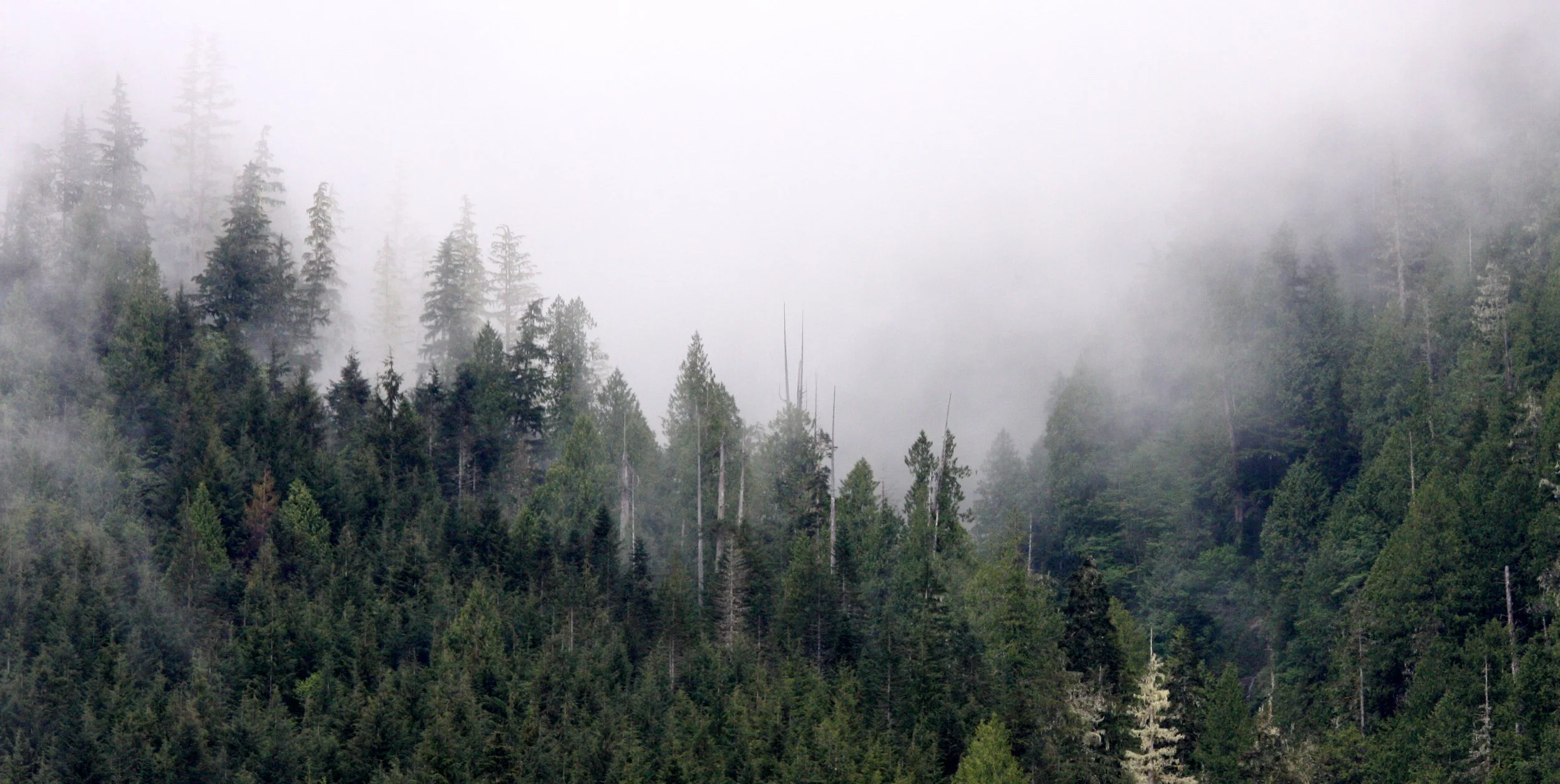KNIGHT'S INLET BRITISH COLUMBIA (30).JPG