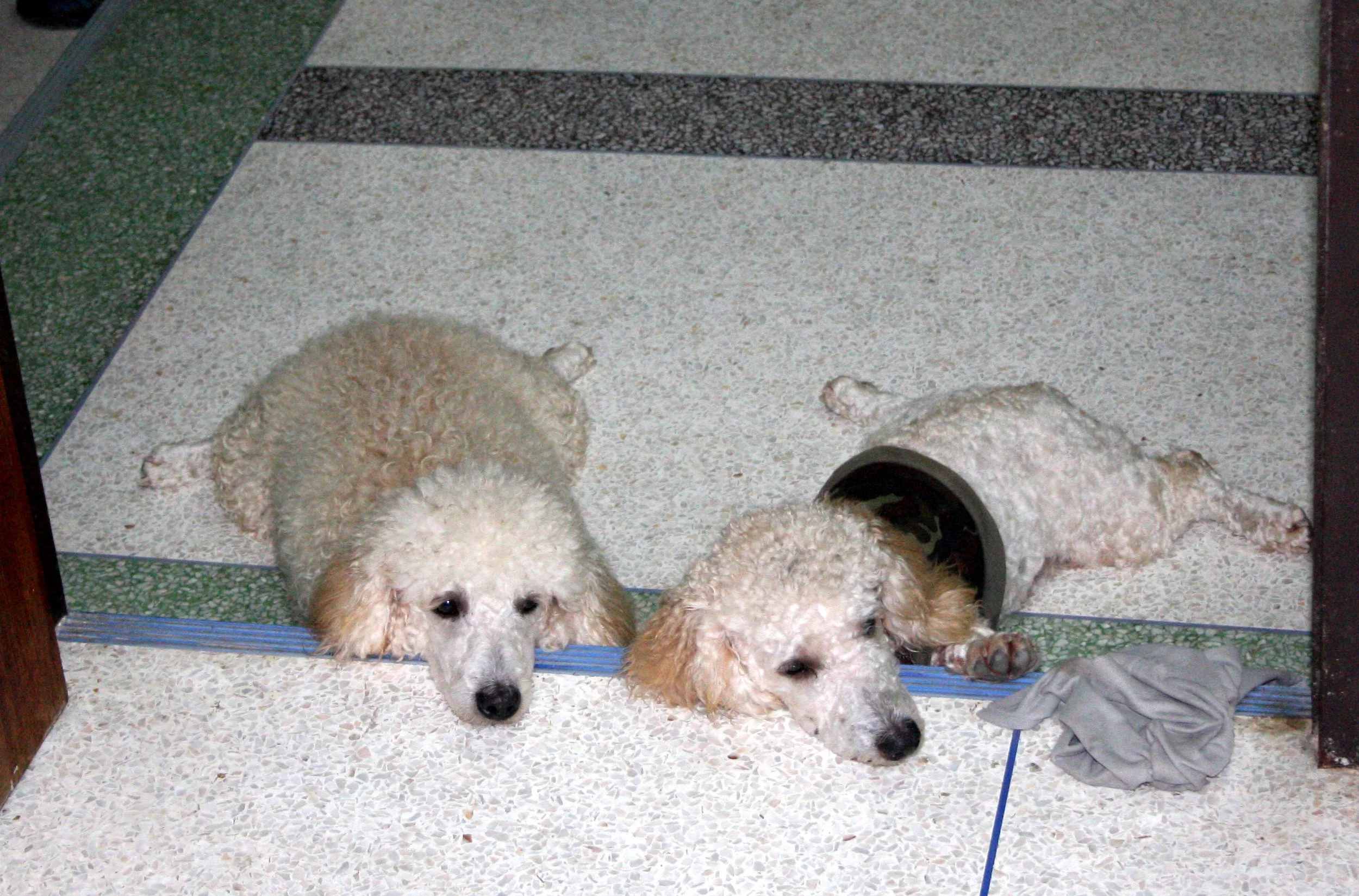 2008 Nakhonsithammarat Summer Trip (41).JPG