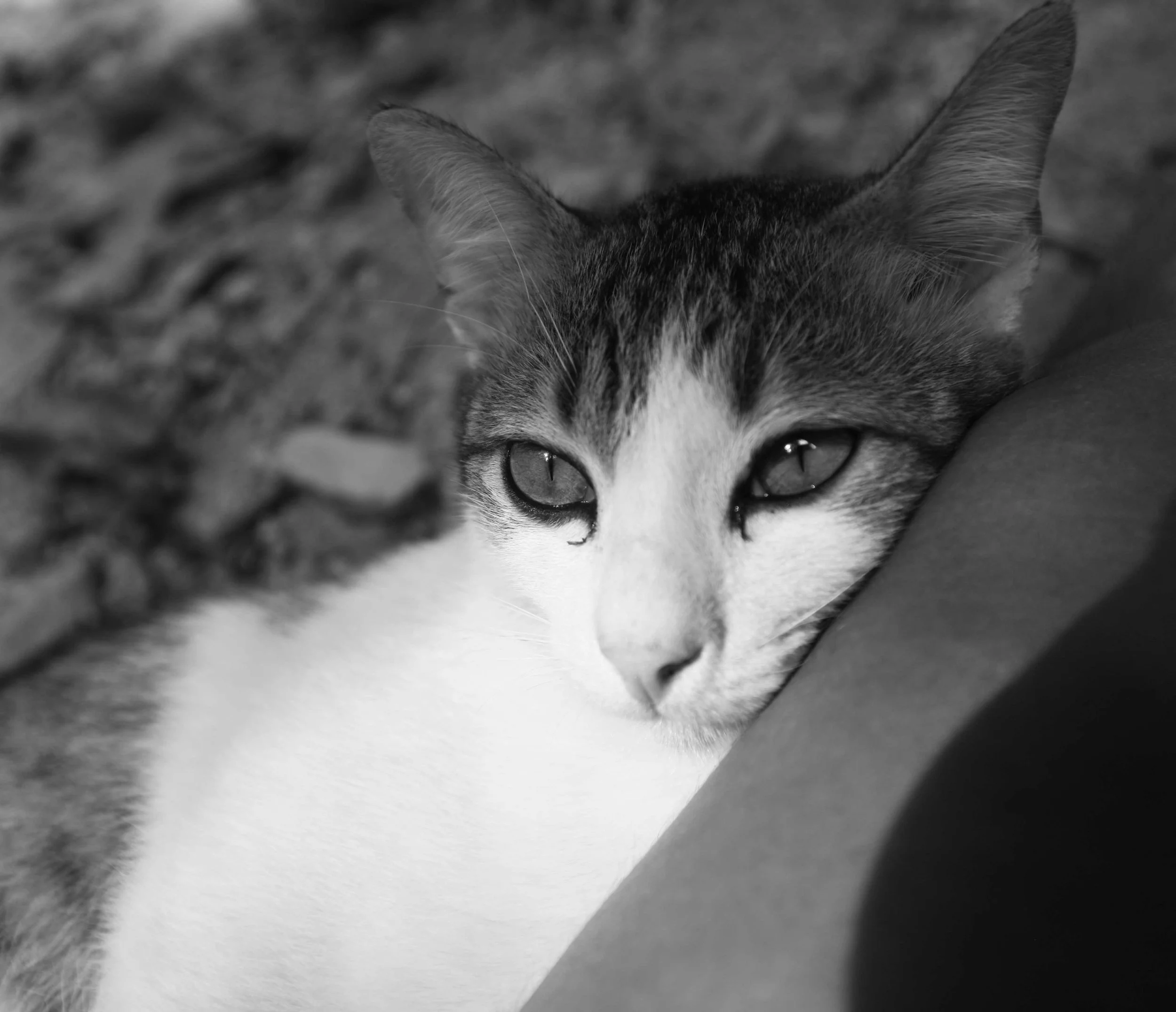 2015 Koh Lanta Songkran with friends from ISB (57).jpg