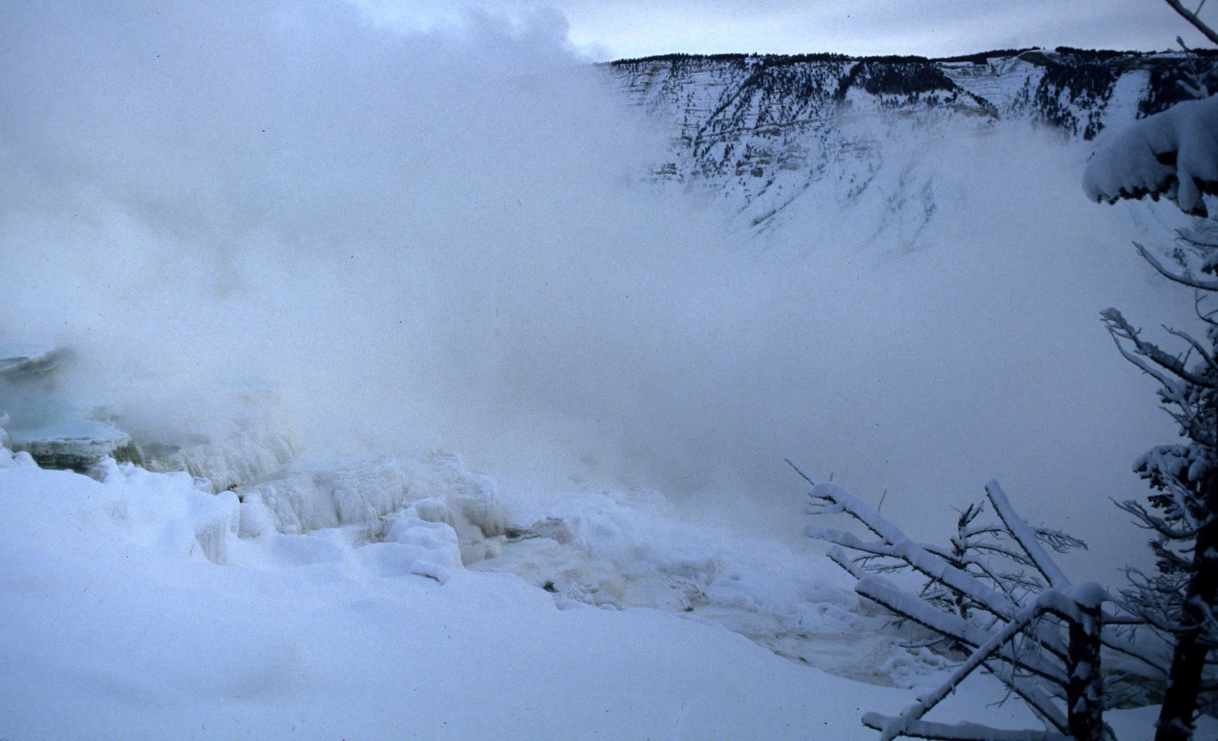 YELLOWSTONE - MAMMOTH HOTSPRINGS AAA.jpg