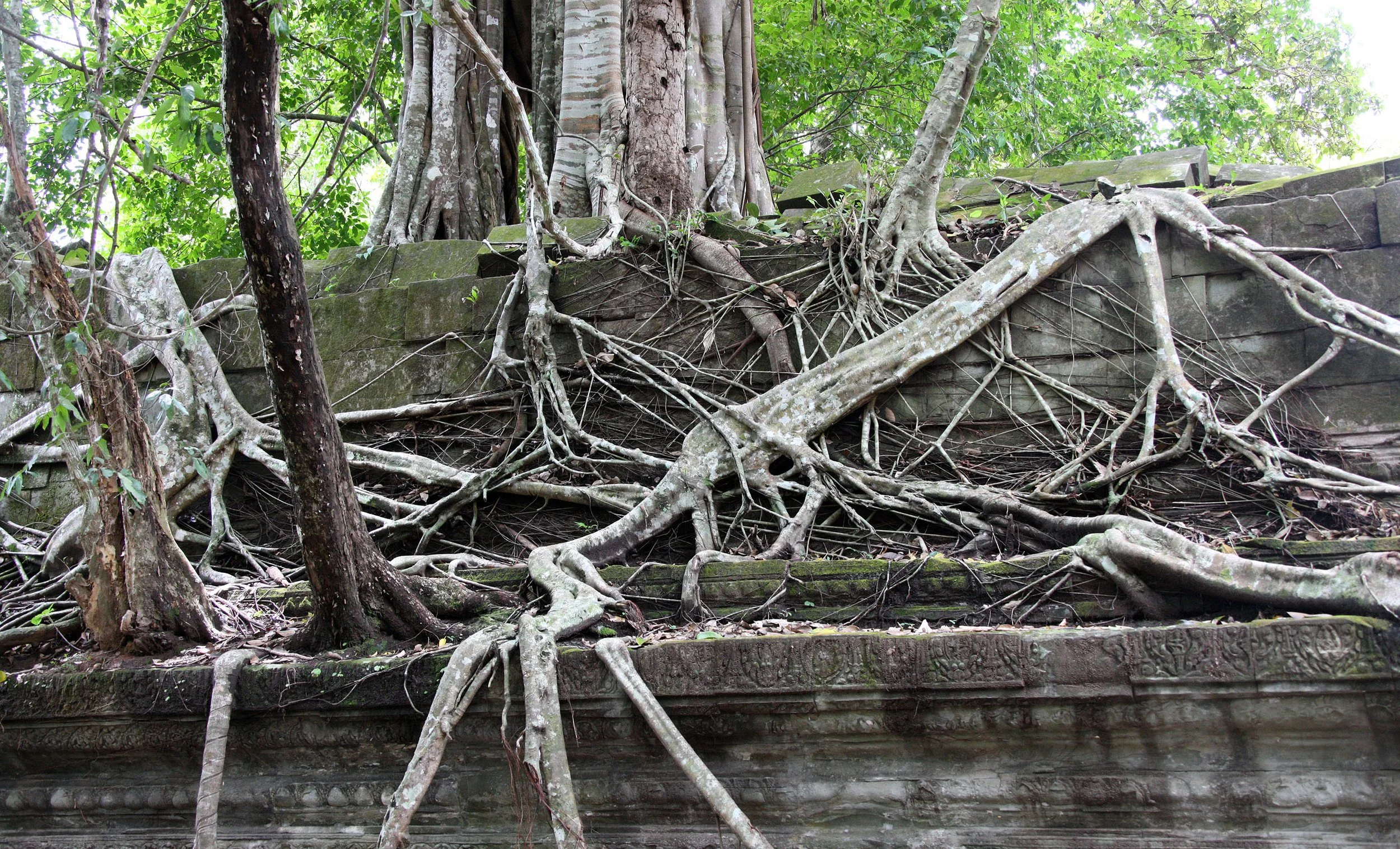 BENG MEALEA - CAMBODIA - JULY 2010 (52).JPG