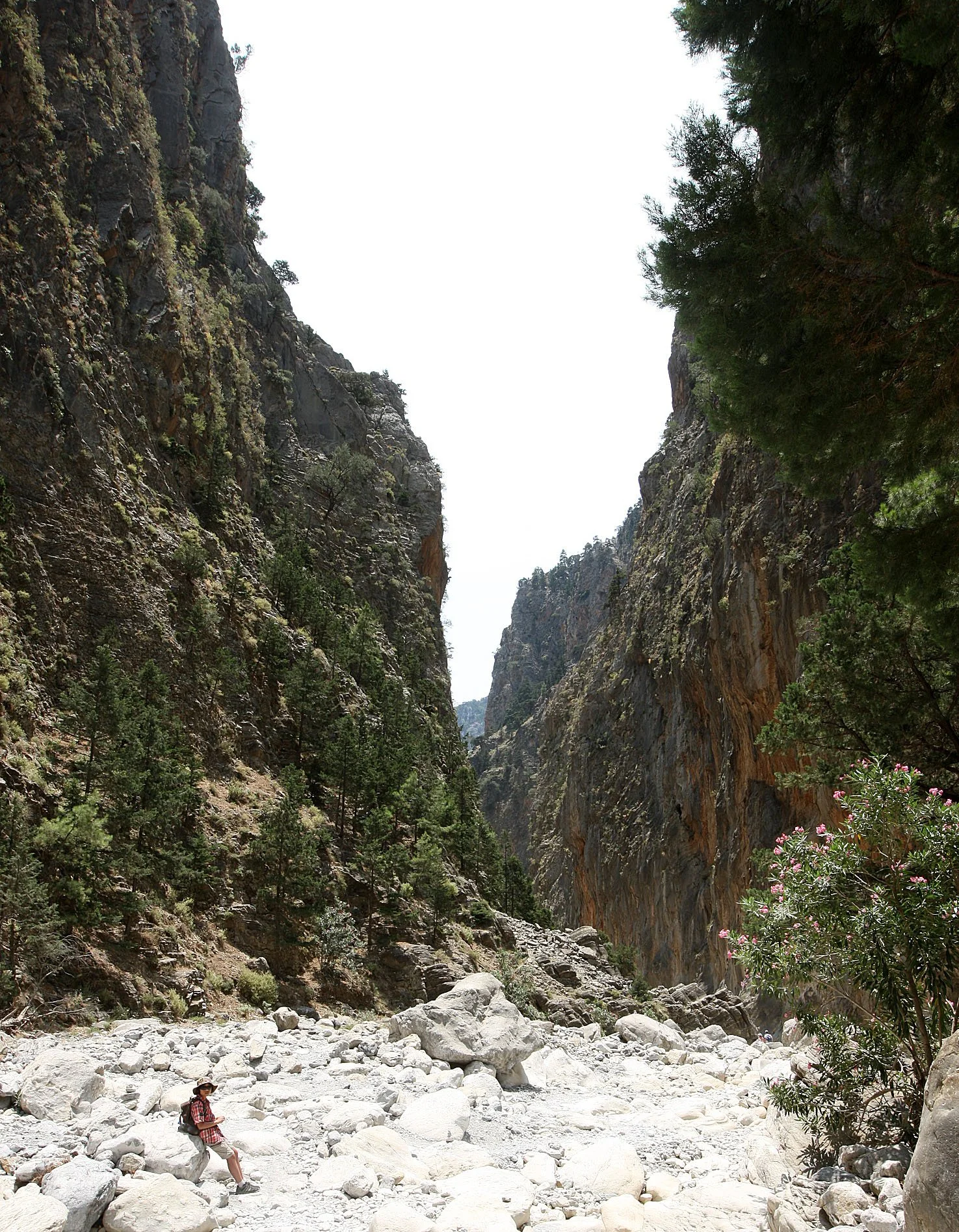 SAMARIA GORGE NATIONAL PARK CRETE (66).JPG