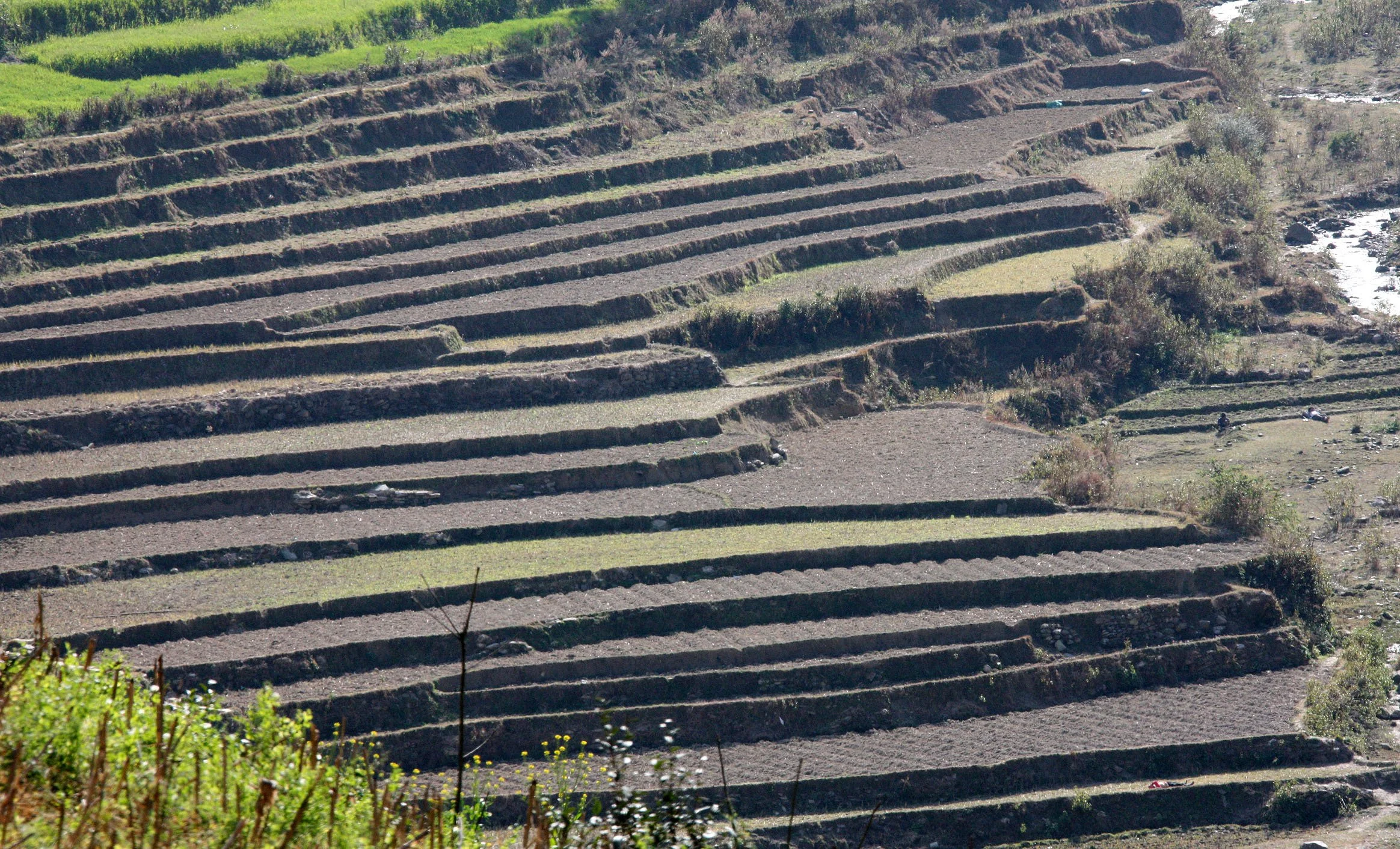 YUNNAN - NANJIAN TOWN AND SURROUNDING REGION (64).JPG