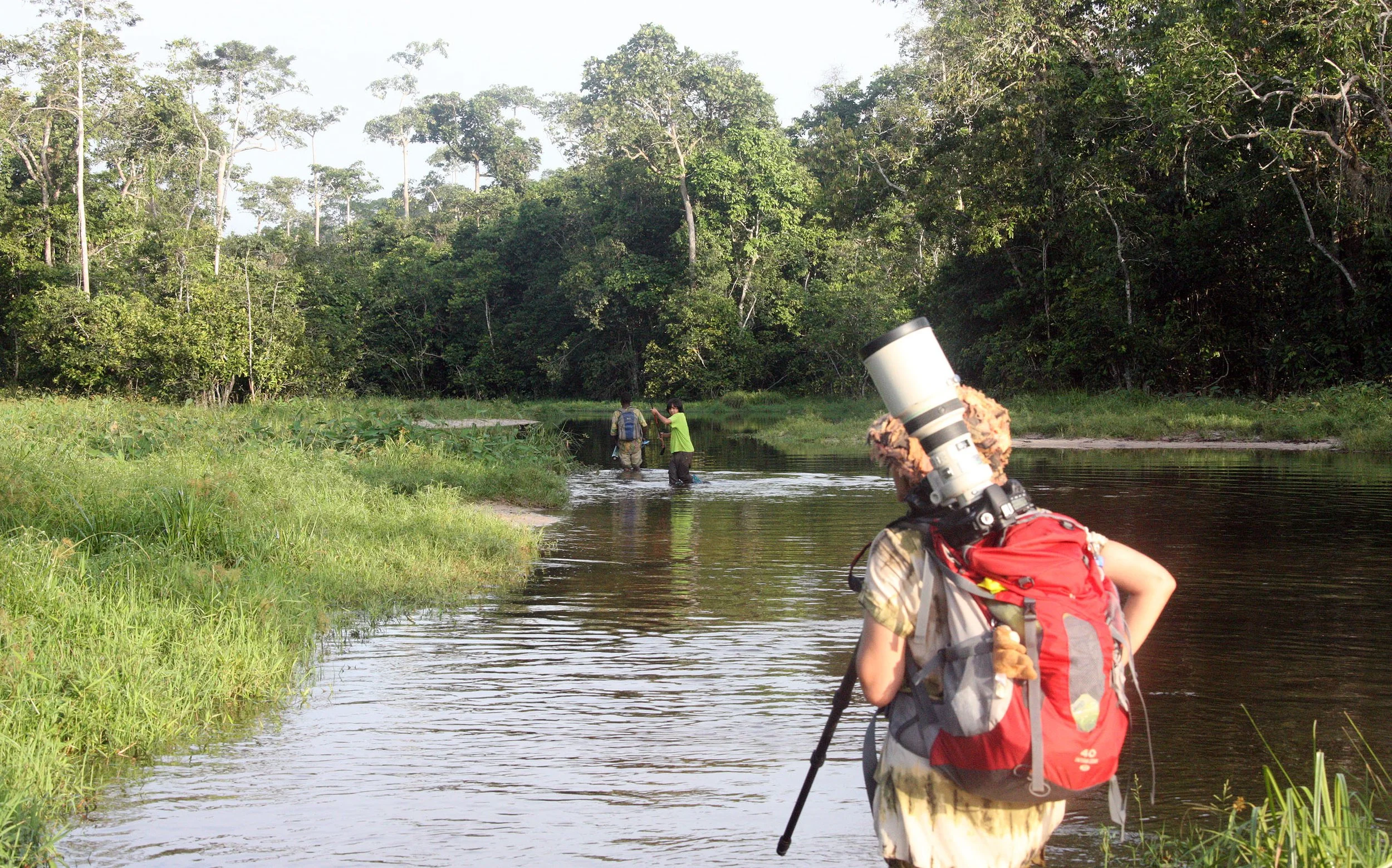 DZANGHA NDOKI NATIONAL PARK - CENTRAL AFRICAN REPUBLIC (19).JPG