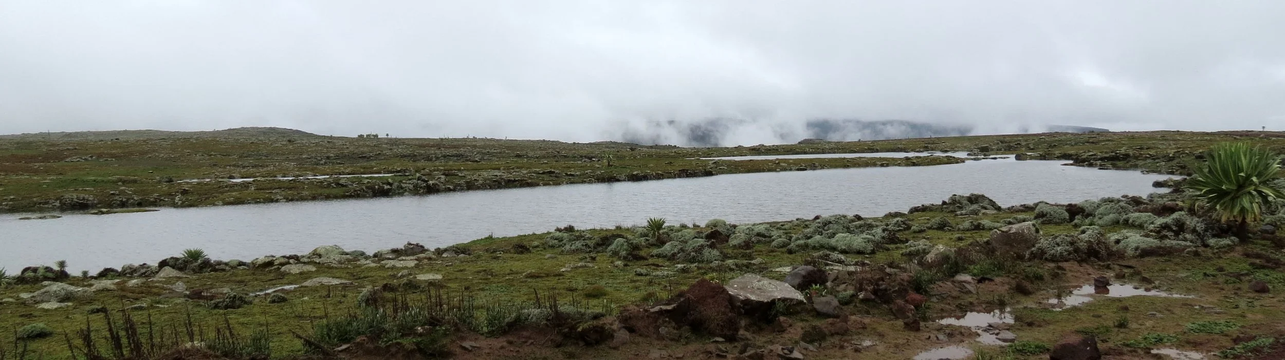 BALE MOUNTAINS NATIONAL PARK - SANETTI PLATEAU - ETHIOPIA (35).JPG