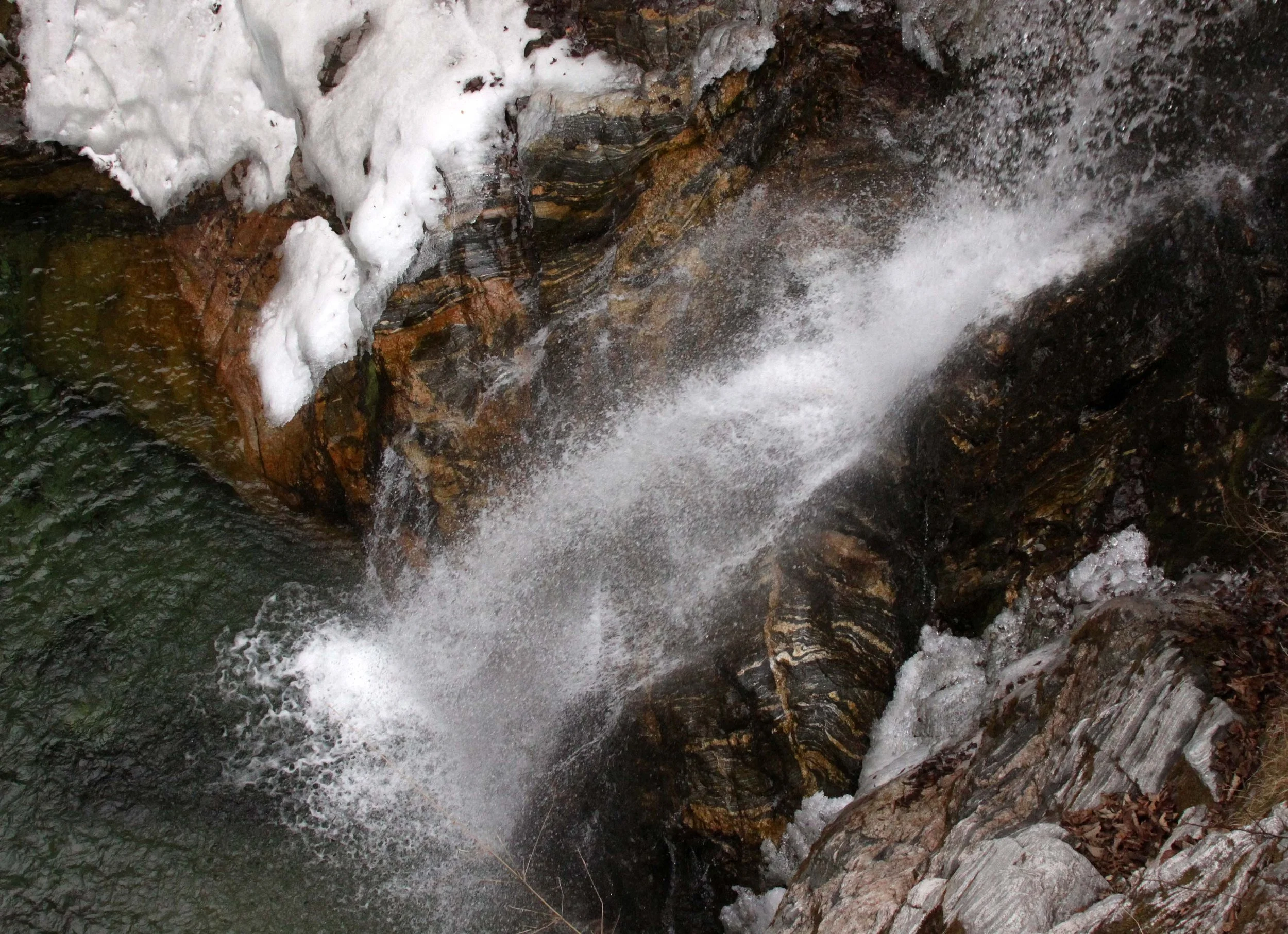 FOPING NATURE RESERVE - SHAANXI PROVINCE CHINA (166).JPG