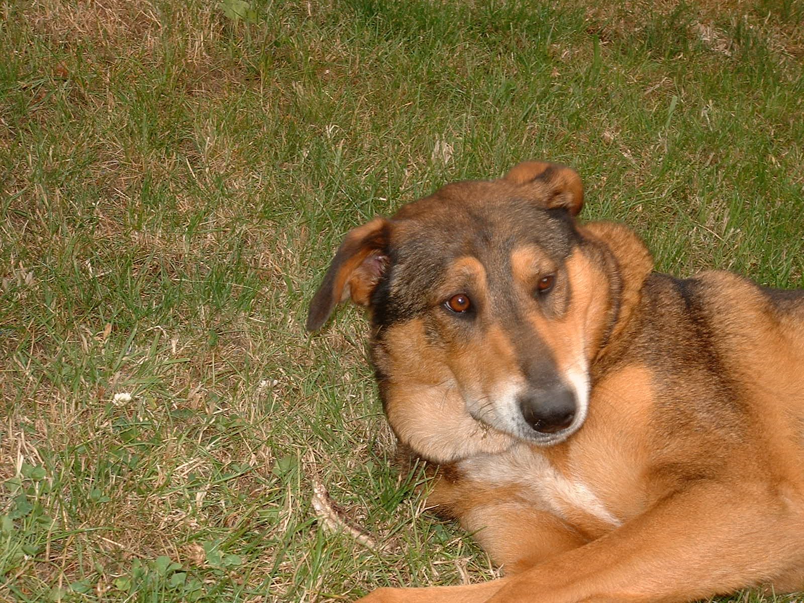 2003-8-1 WASHINGTON VISIT FROM ROBINSONS ET AL (125).JPG