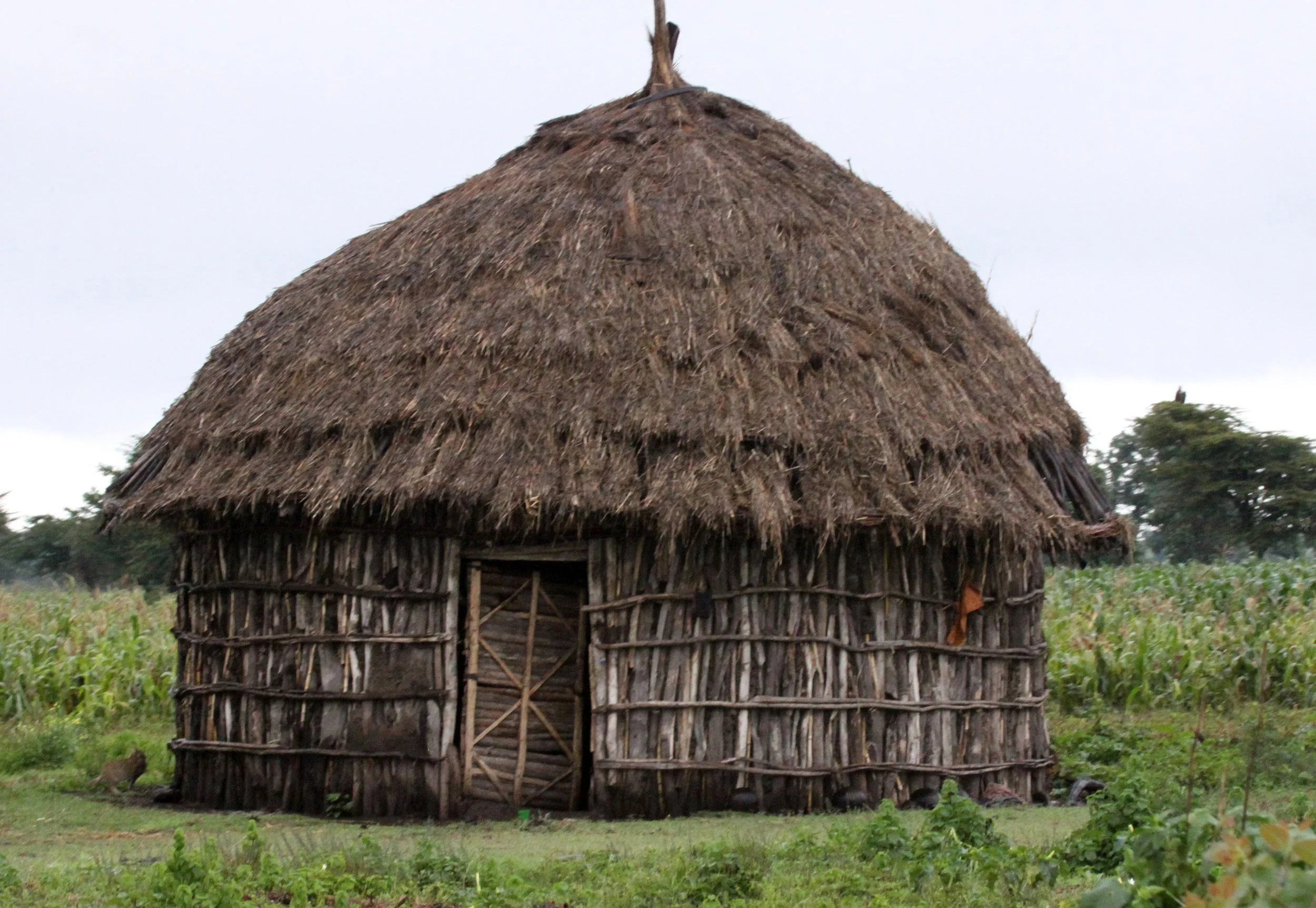 SENKELE SANCTUARY SURROUNDING VILLAGES - ETHIOPIA (7).JPG