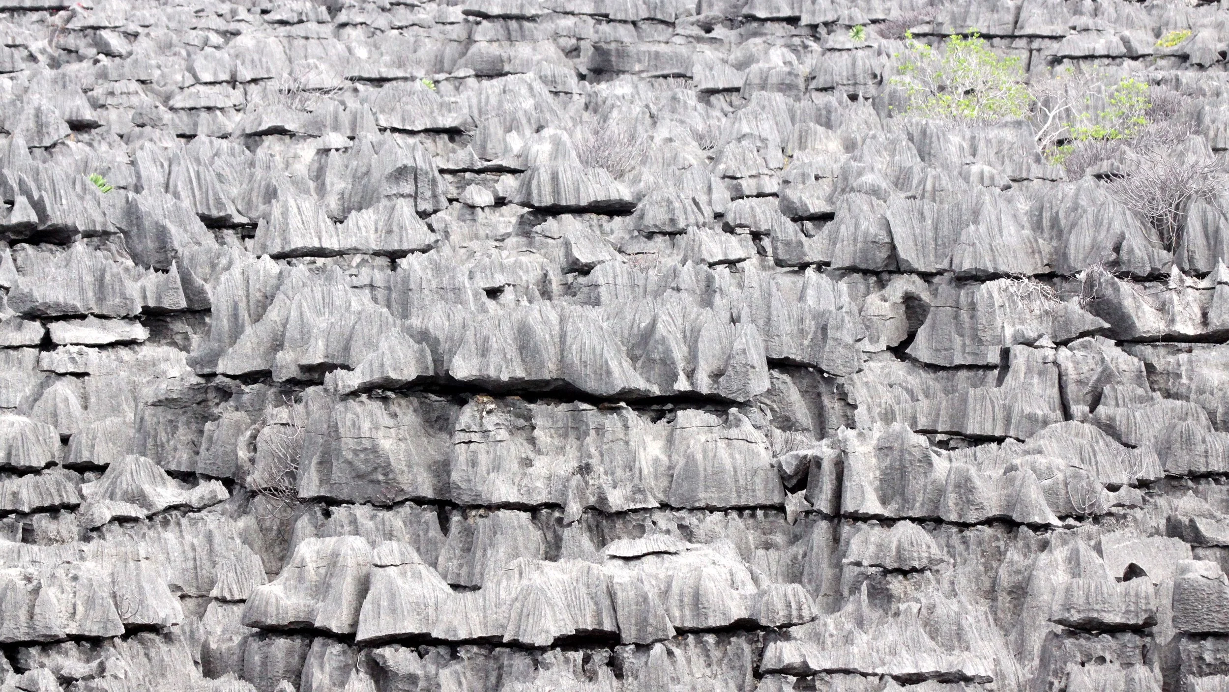 ANKARANA NATIONAL PARK MADAGASCAR - TSINGY FOREST (33).JPG
