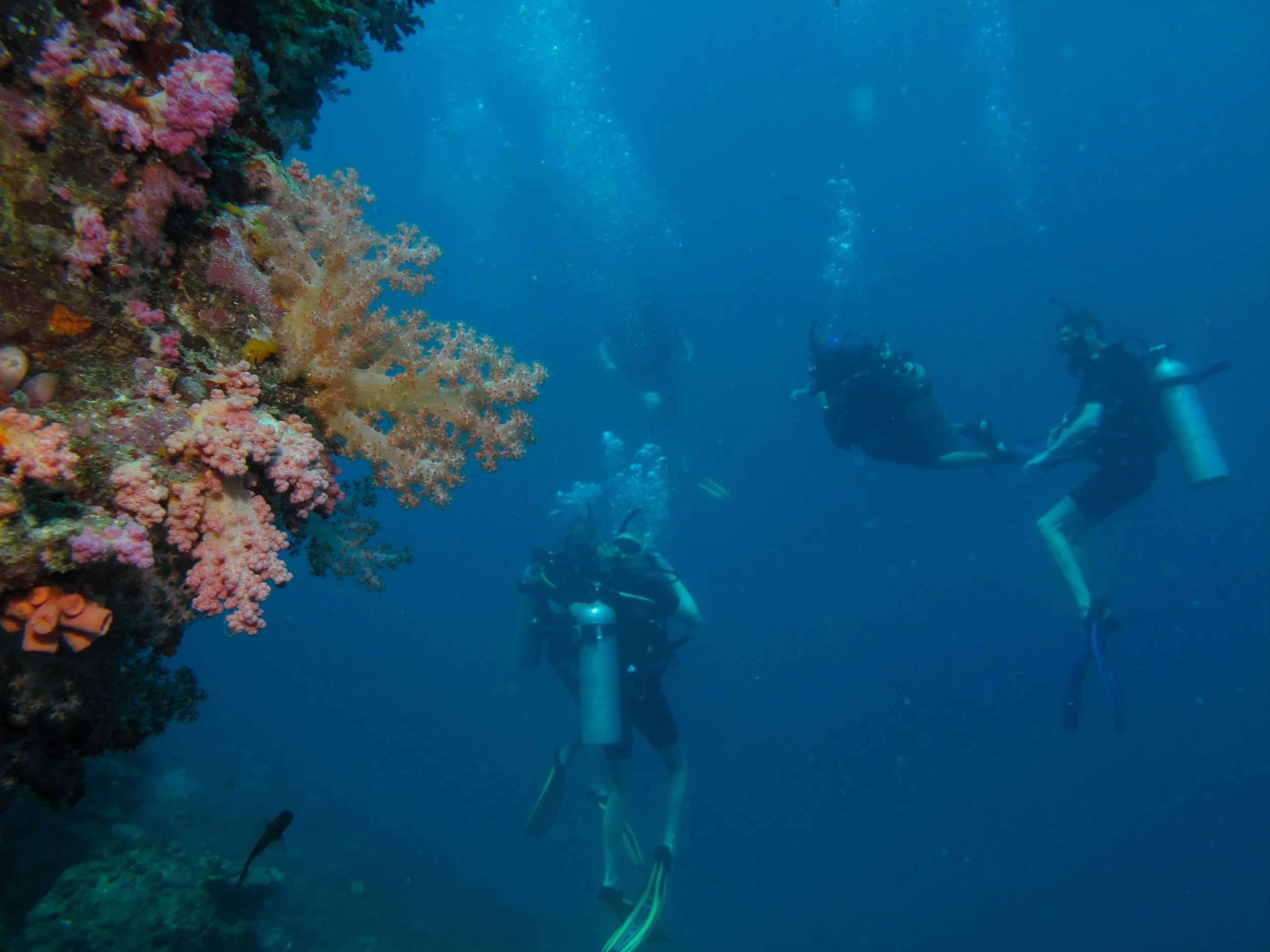 2013 Koh Lanta Dive Trip Koh Ha (66).jpg
