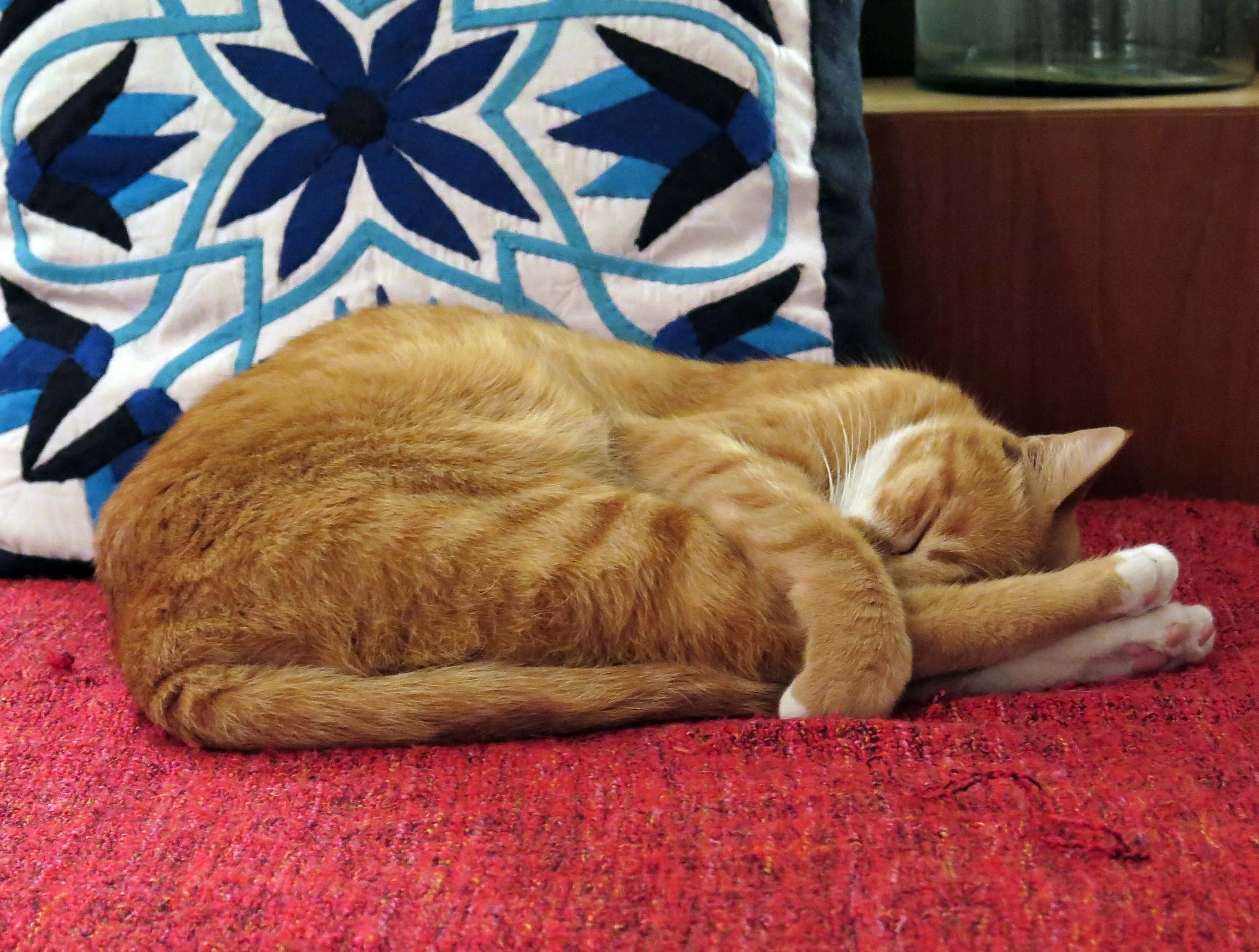 2013 - BANGKOK - NOVEMBER 2013 - MARCH 2014 (4).JPG