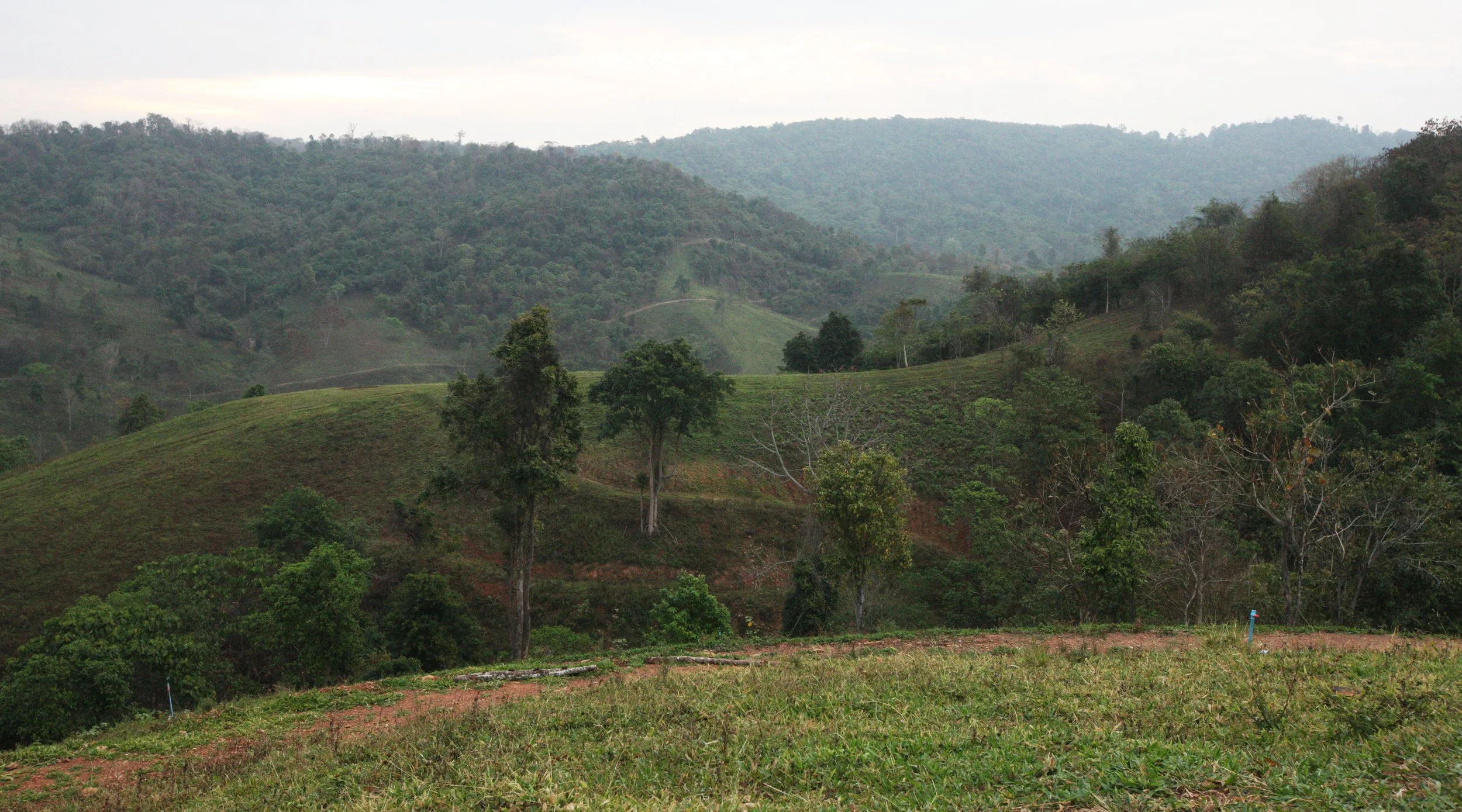 2015 Khao Pang Ma Nonhunting Area (151).JPG