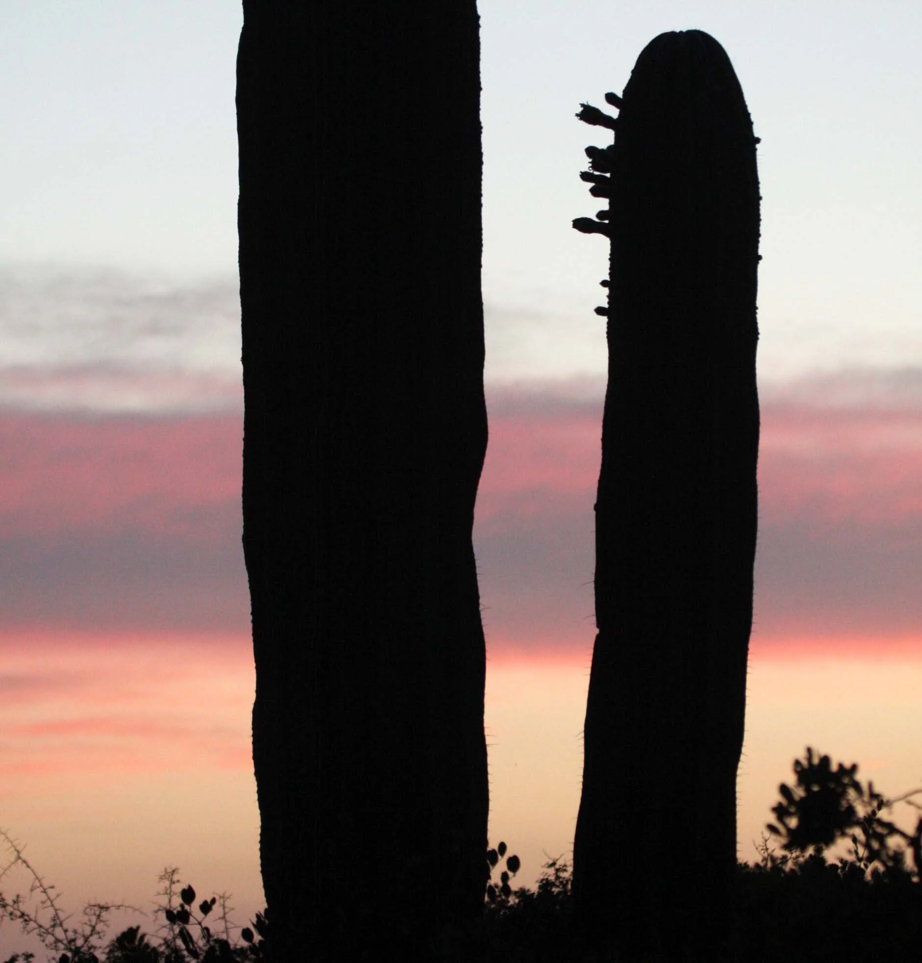 ISLA SANTA CATALINA BAJA MEXIO - SUNSET LANDSCAPES (35).JPG
