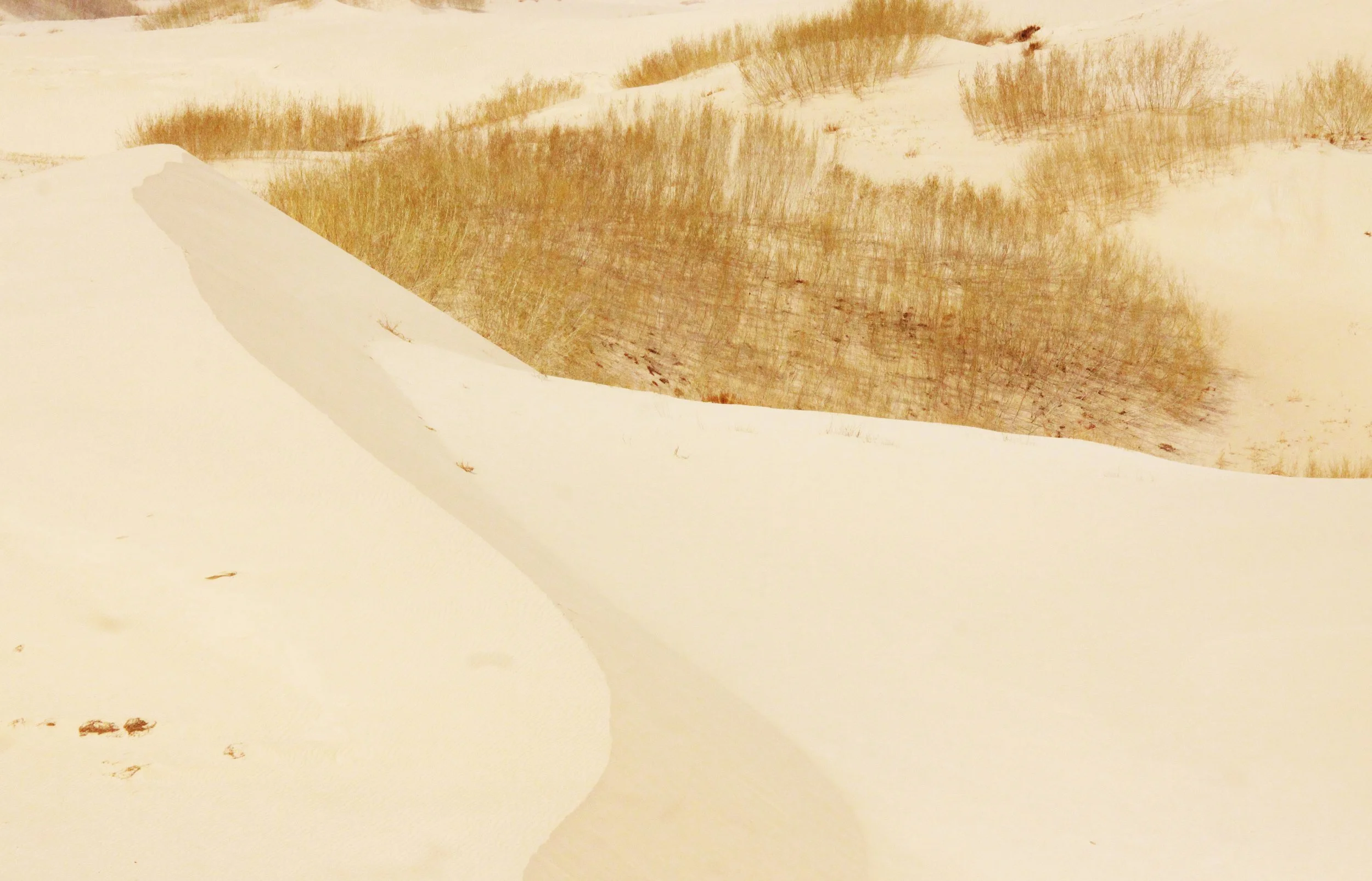 KULUN QI INNER MONGOLIA CHINA - DUNES (39).JPG