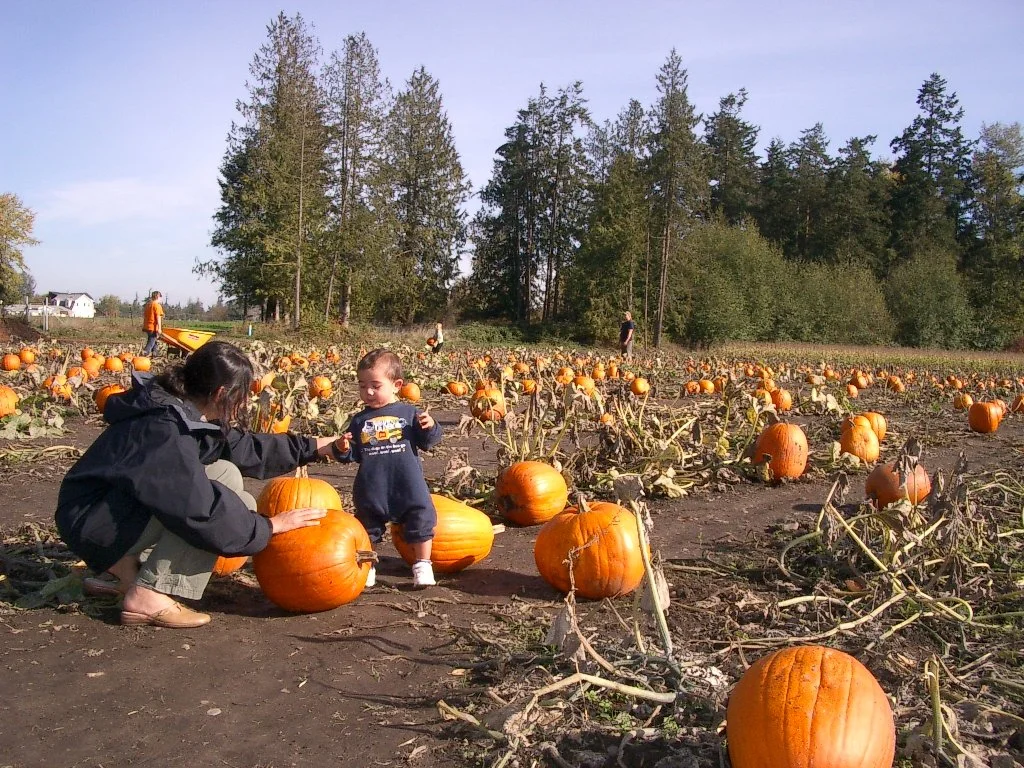 2003-10-26 PUMPKIN PATCH PORT ANGELES (15).JPG
