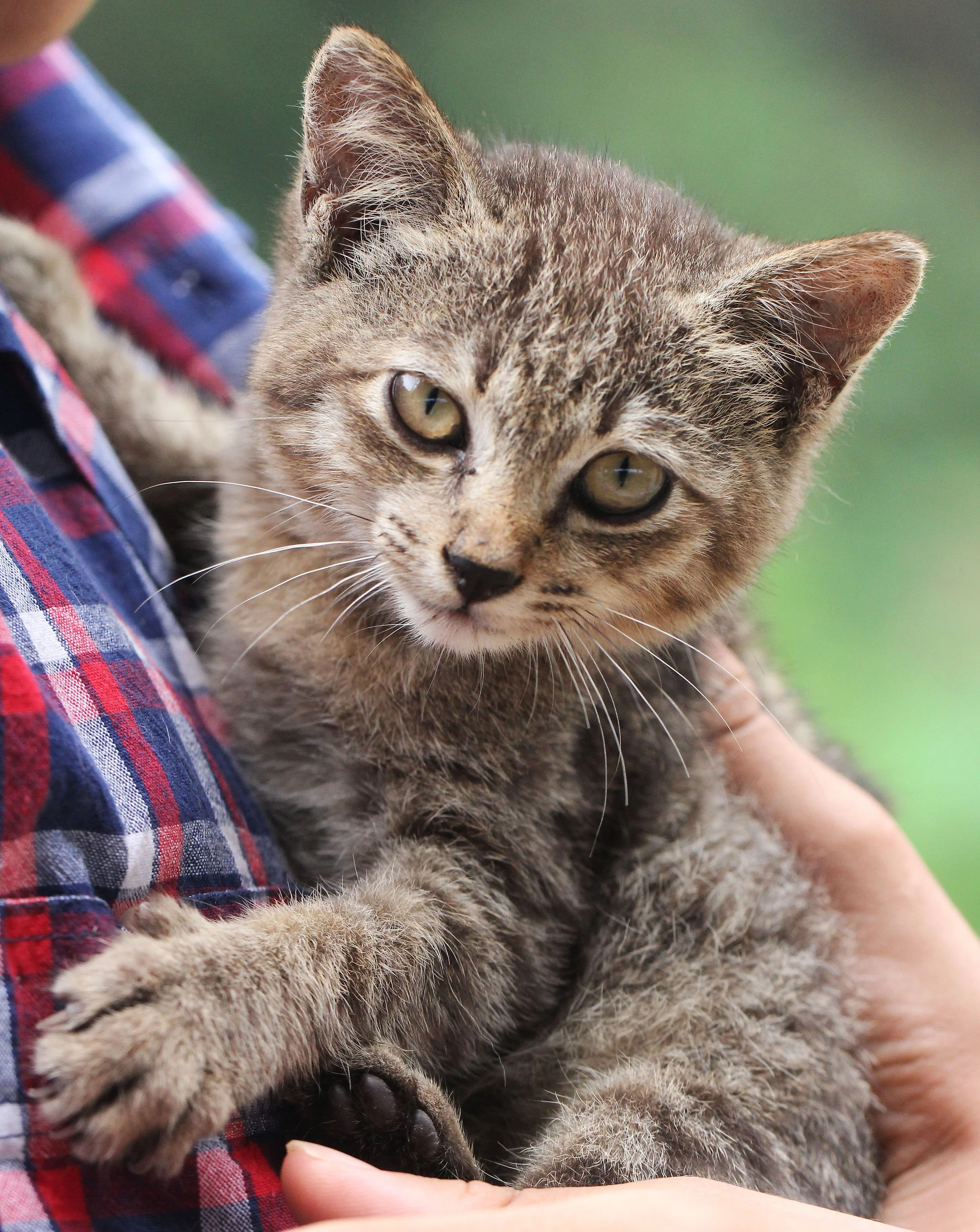 2015 Koh Lanta October Break Trip  (266).jpg