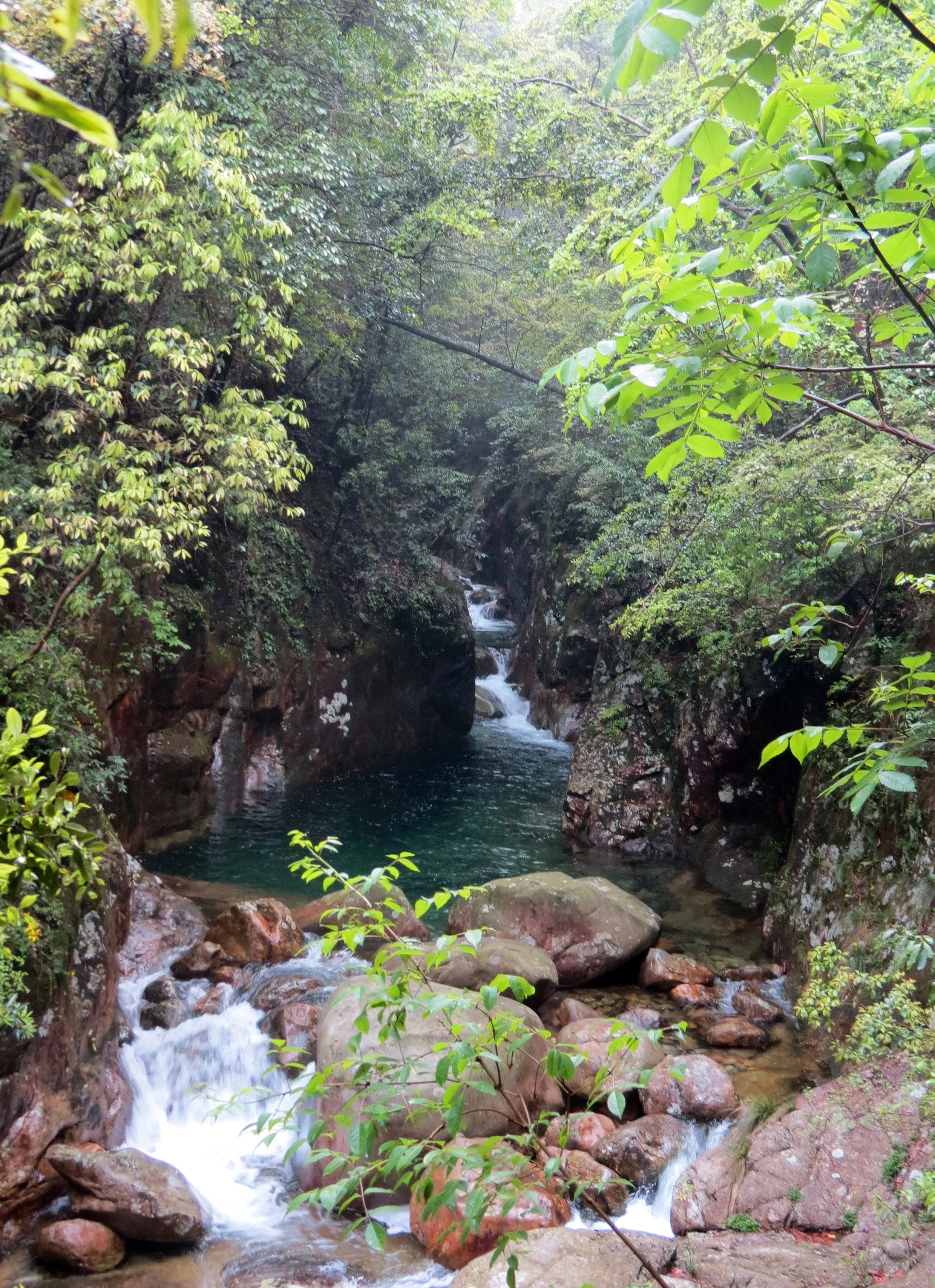 GUNIUJIANG NATURE RESERVE - ANHUI PROVINCE CHINA (63).JPG