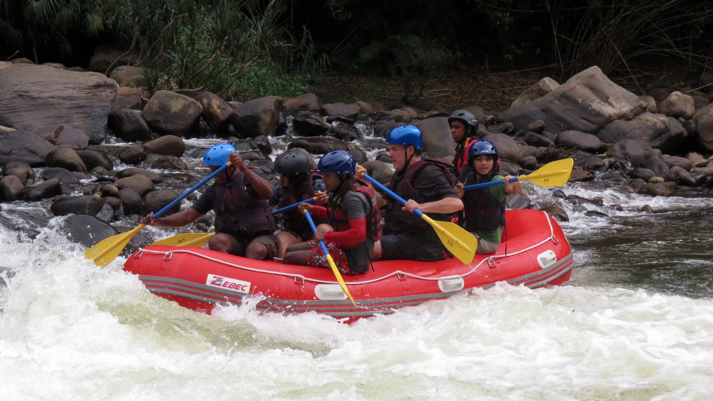 KITULGALA FOREST PRESERVE SRI LANKA (65).JPG