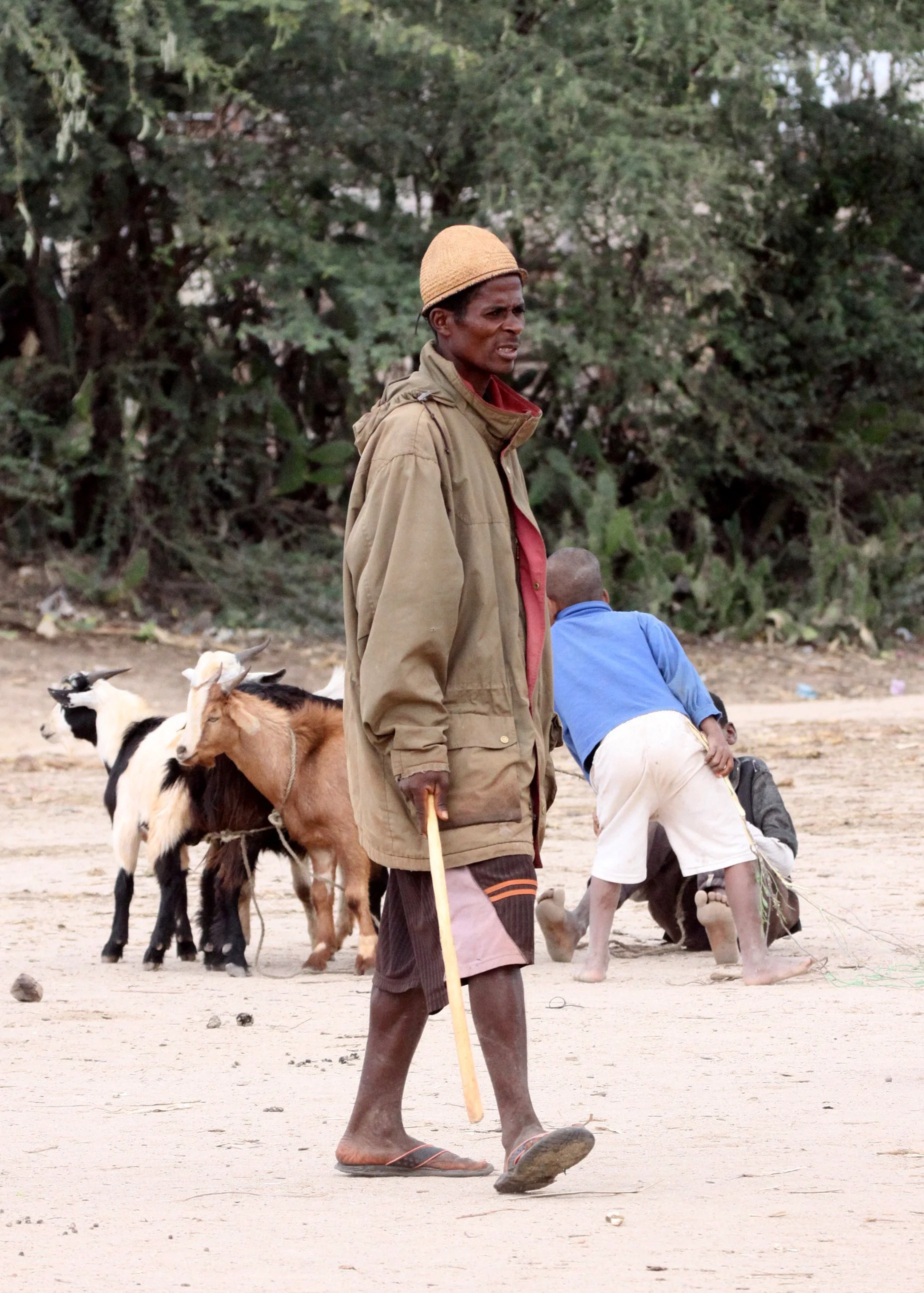 ANTANDROY VILLAGE - ZEBU MARKET DAY (11).JPG